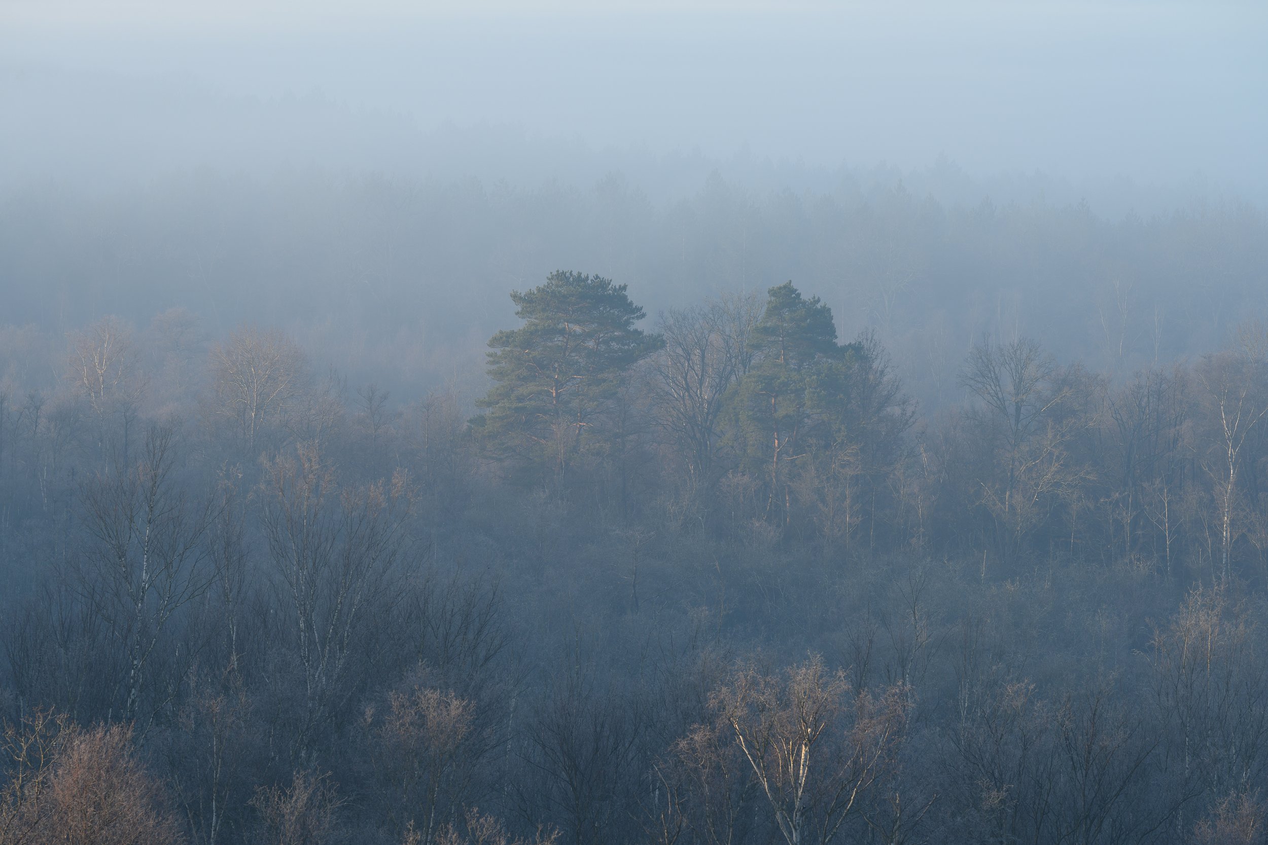 Fantômes dans la brume