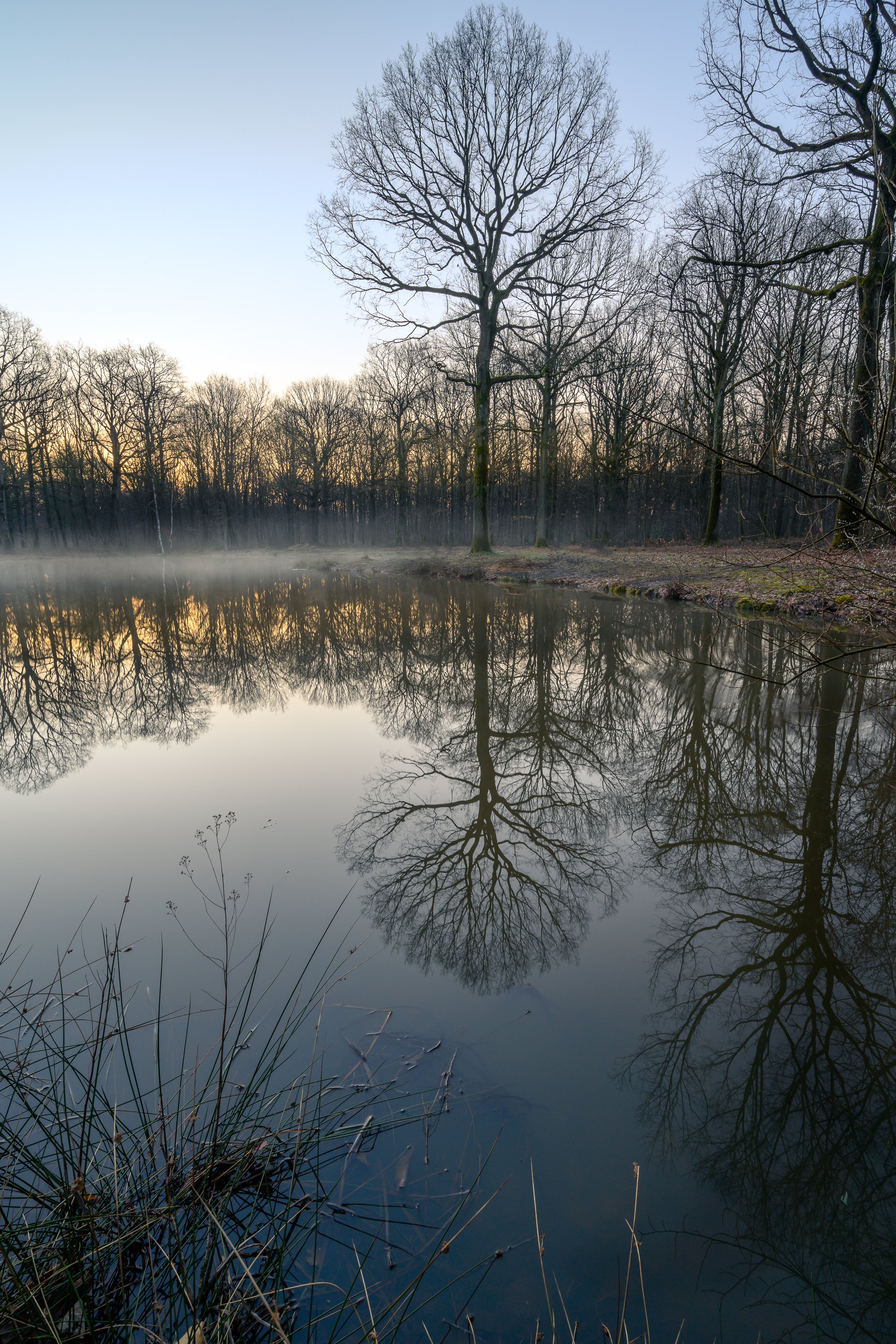 Un squelette en hiver
