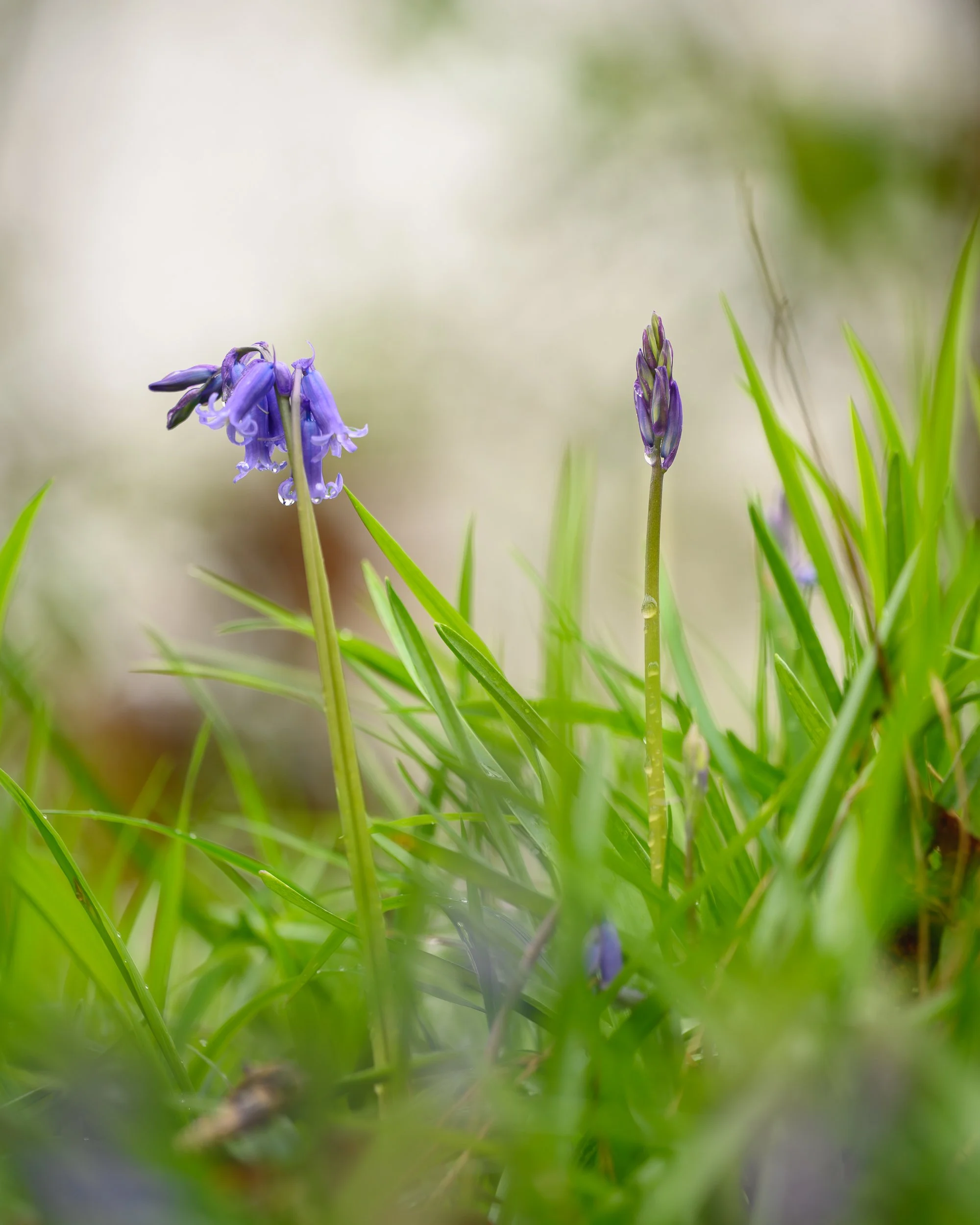 _AP71845 Squarespace 1.jpg