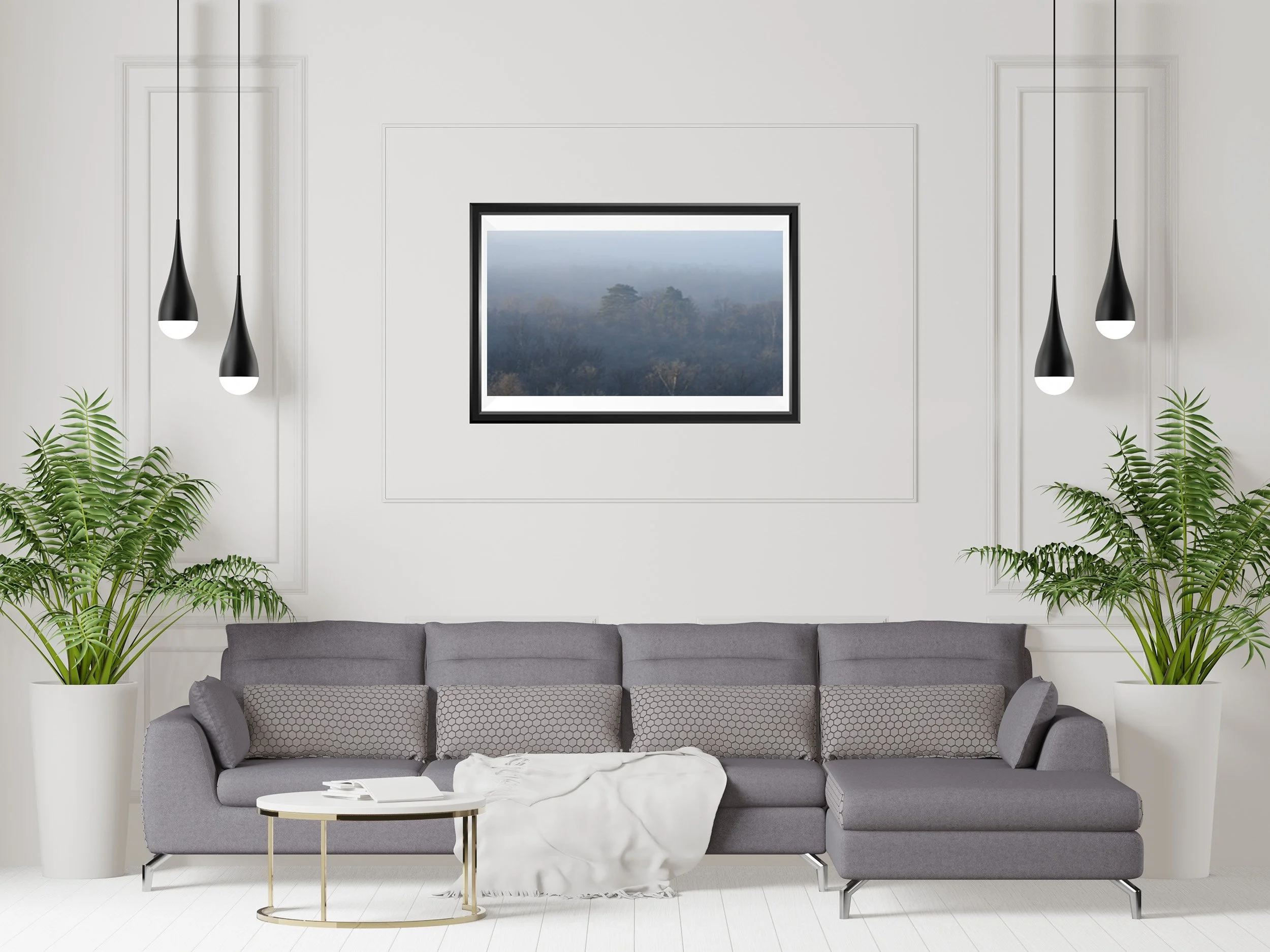 Vallée de Chevreuse, Forêt dans la brume