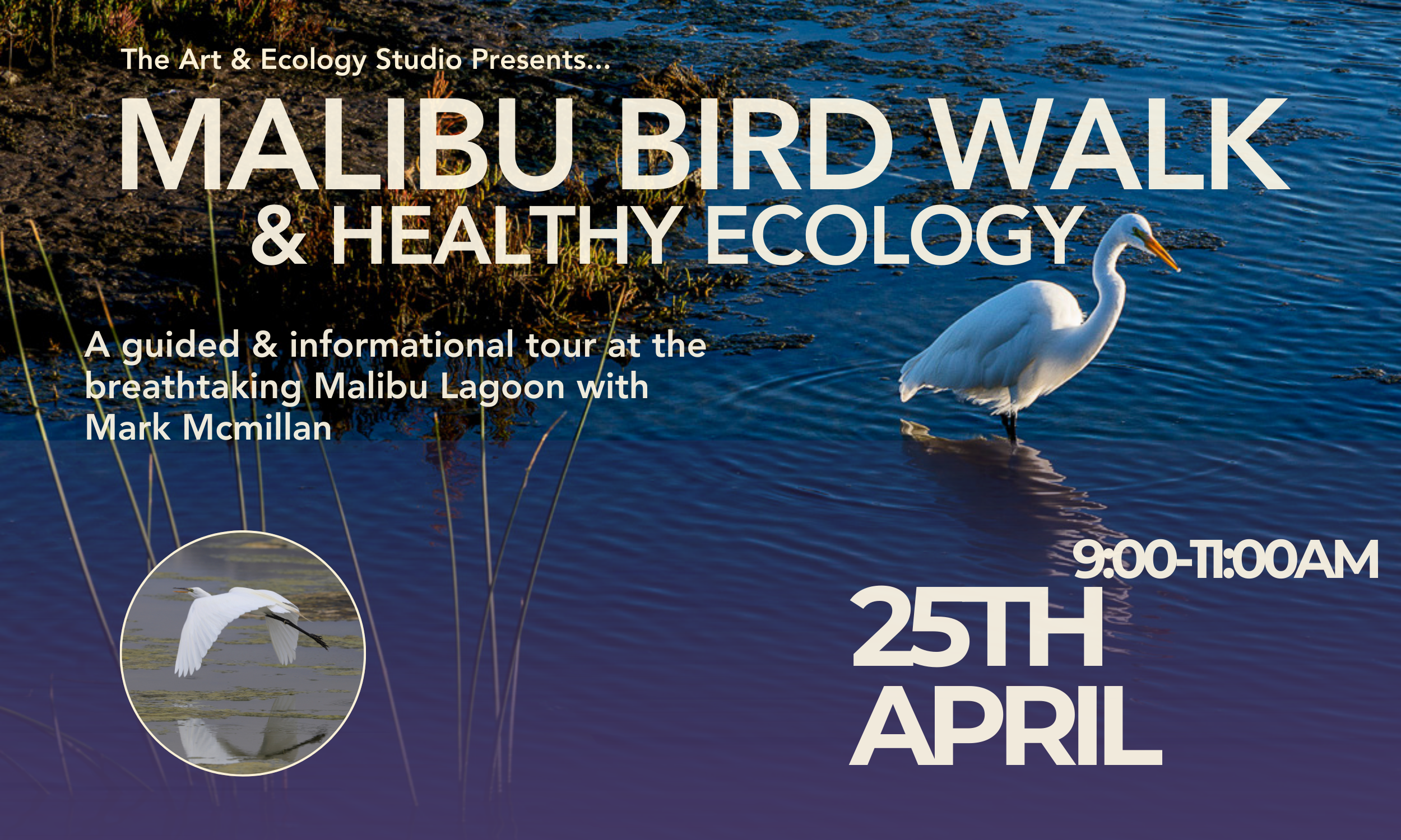 Malibu Bird Walk &amp; Healthy Ecology Talk