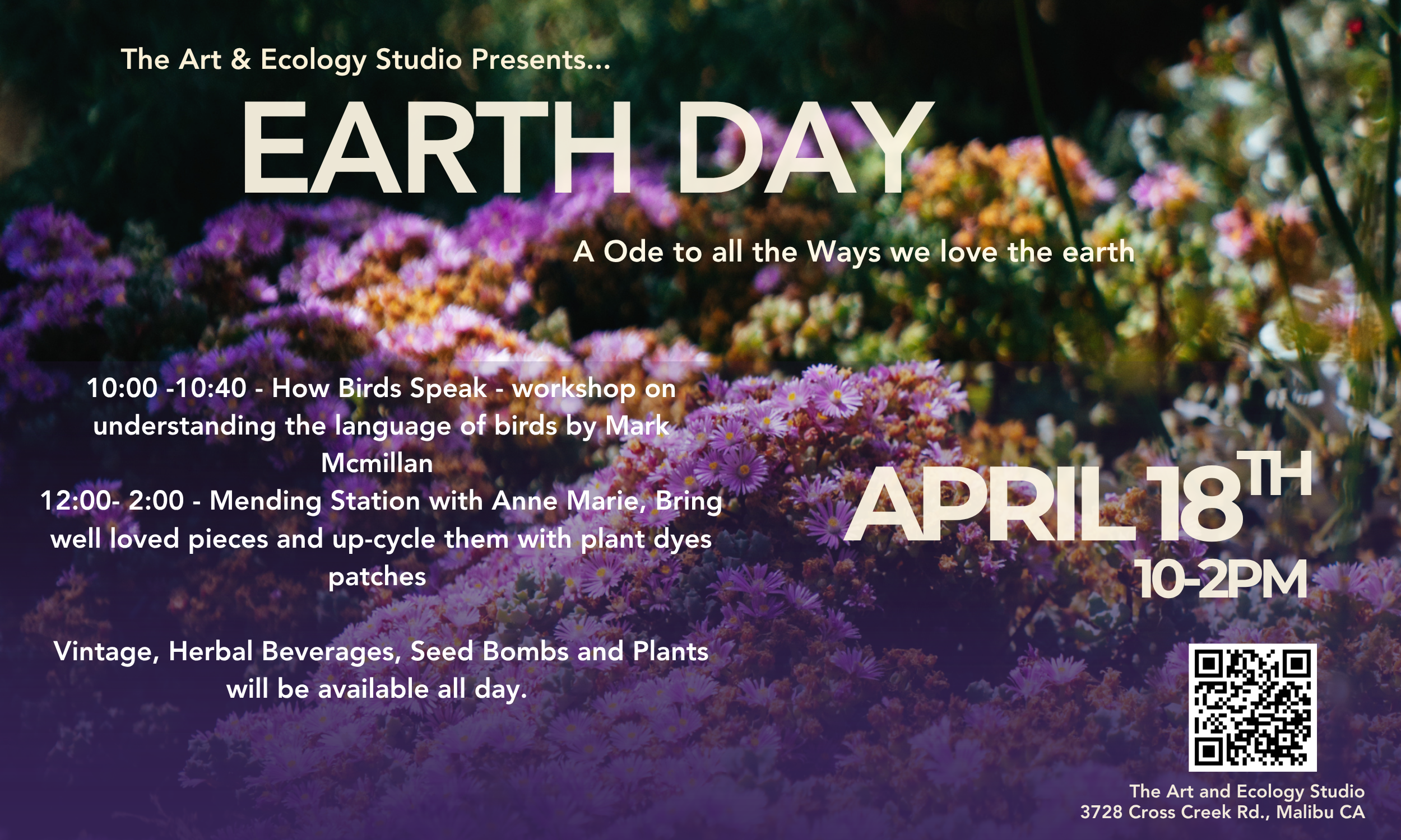 Earth Day Festival 
