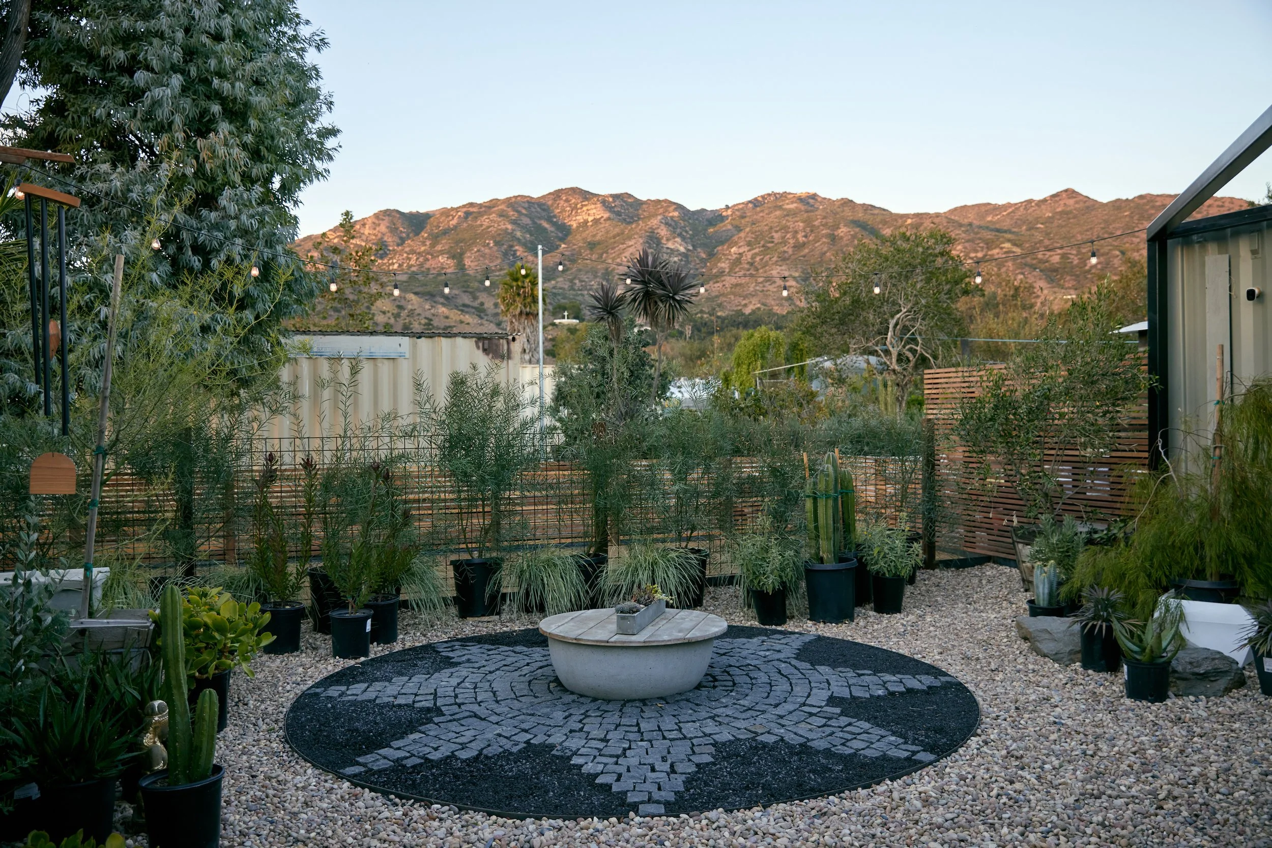 Viola Gardens-67.jpg