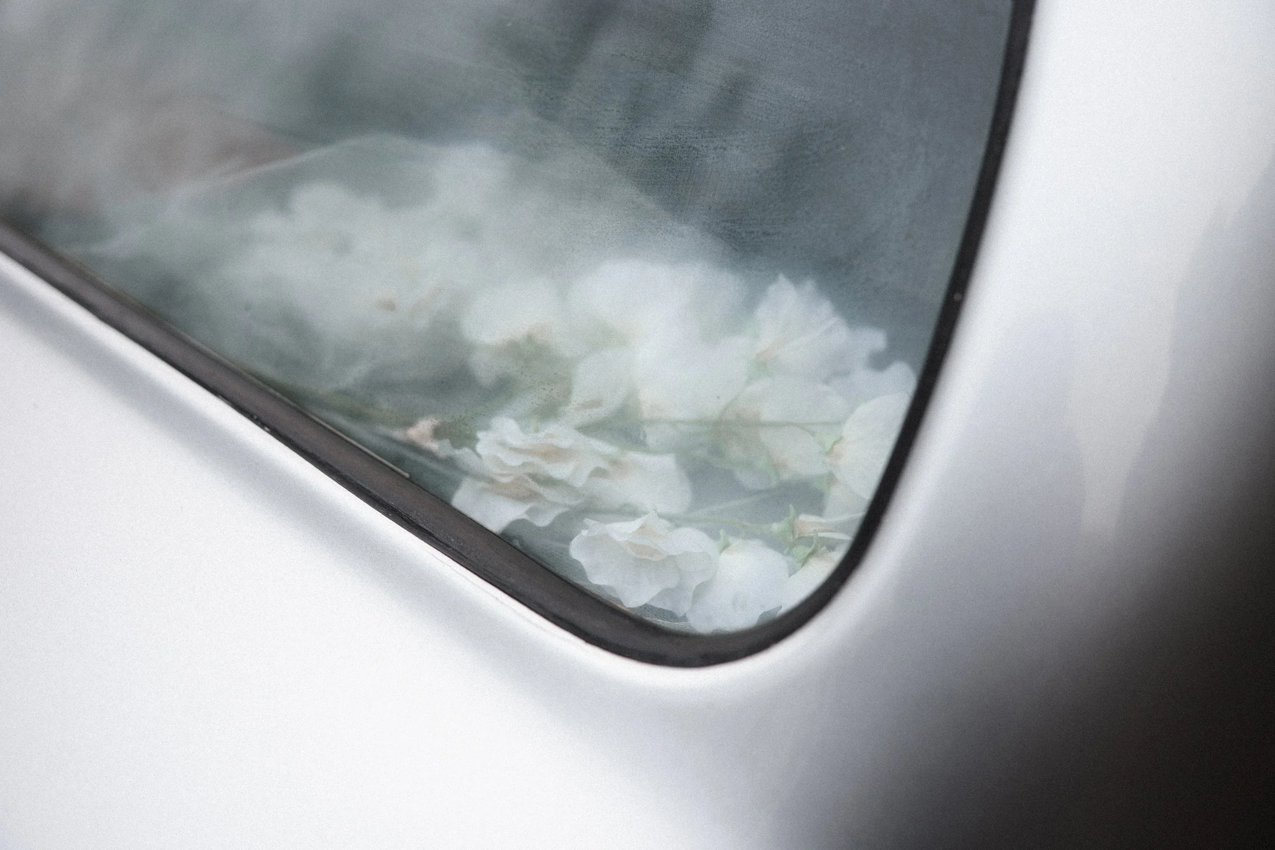 Close-up of a washing machine window with white flowers inside.