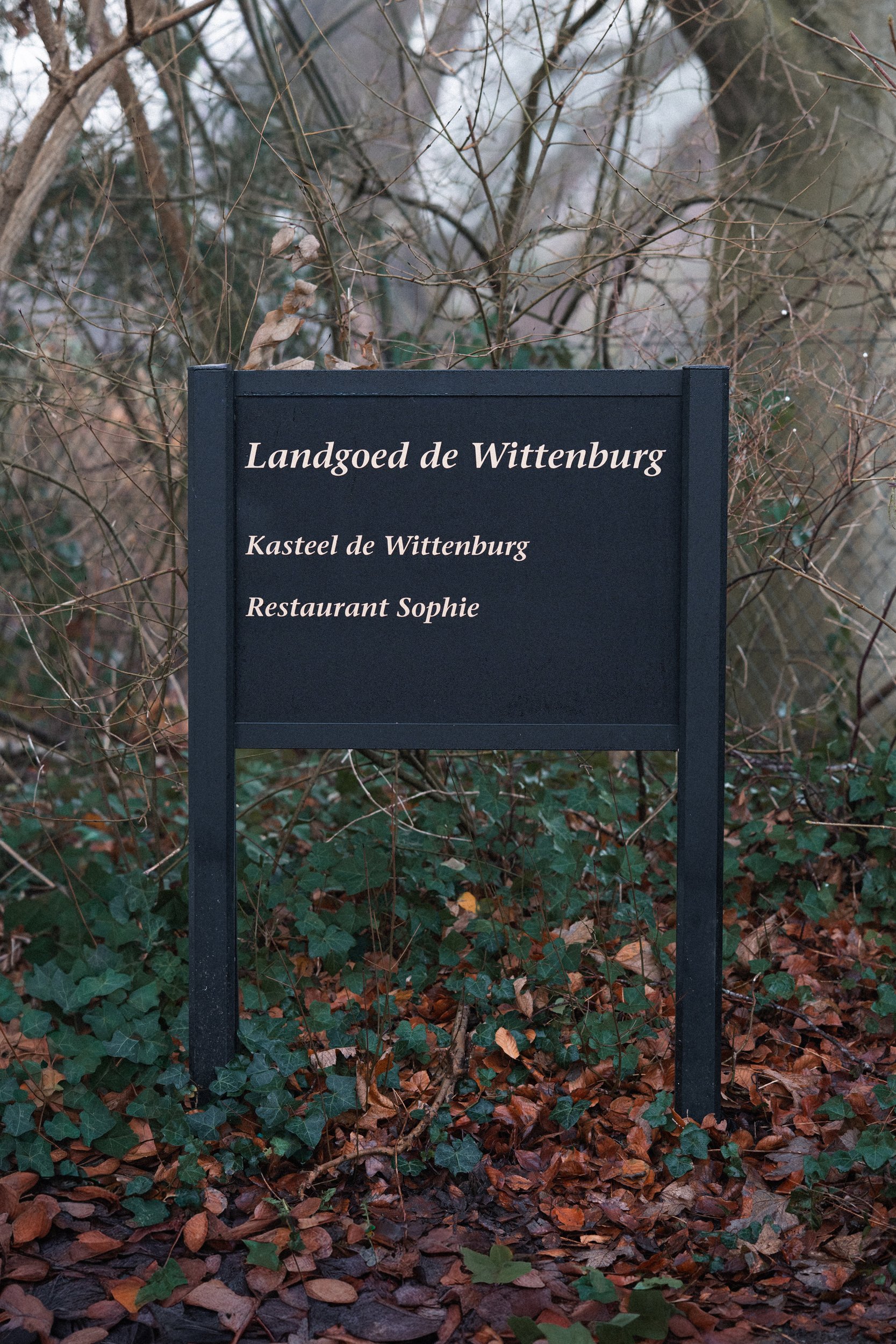 Black informational sign with white text that reads 'Landgoed de Wittenburg, Kasteel de Wittenburg, Restaurant Sophie' installed outdoors amidst leafless bushes and trees with fallen leaves on the ground.