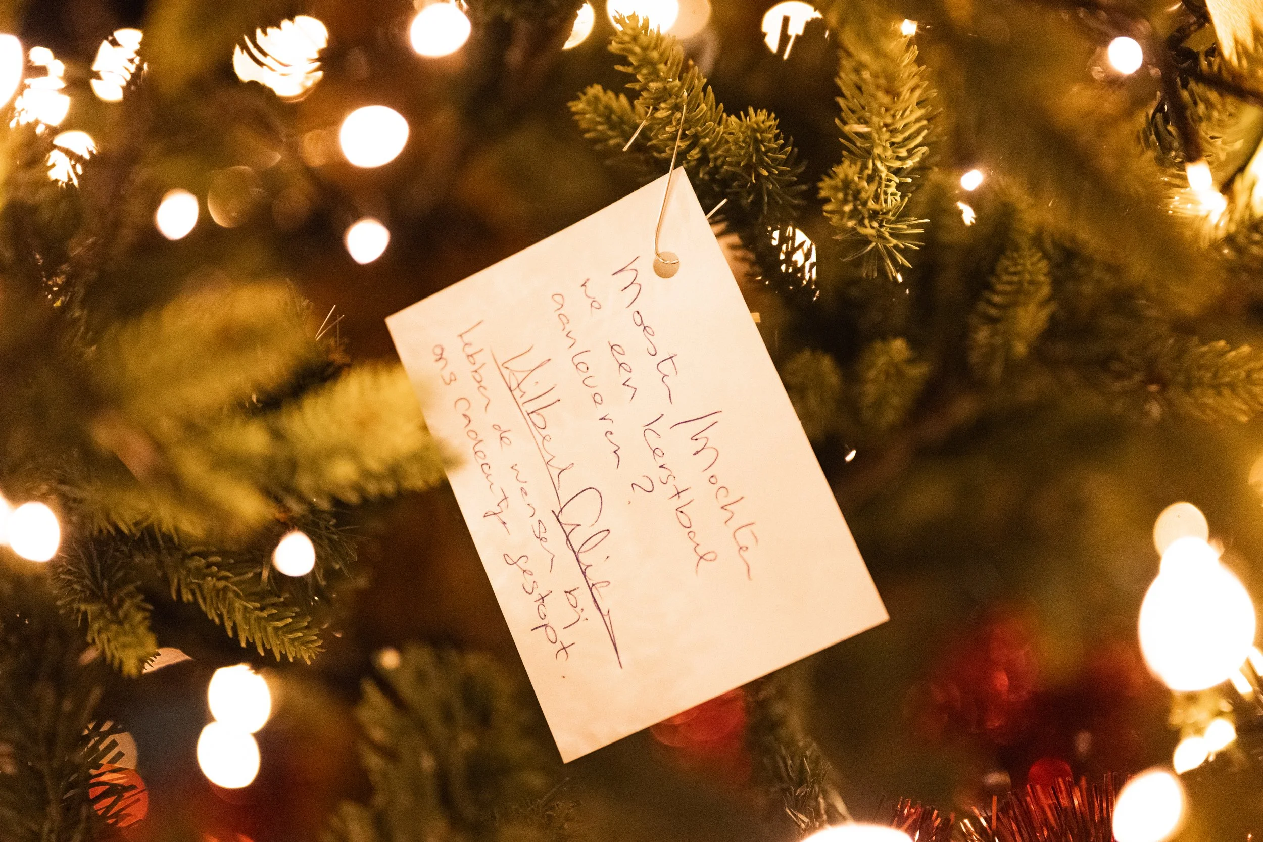 A handwritten note hanging on a Christmas tree surrounded by warm glowing lights and pine branches.