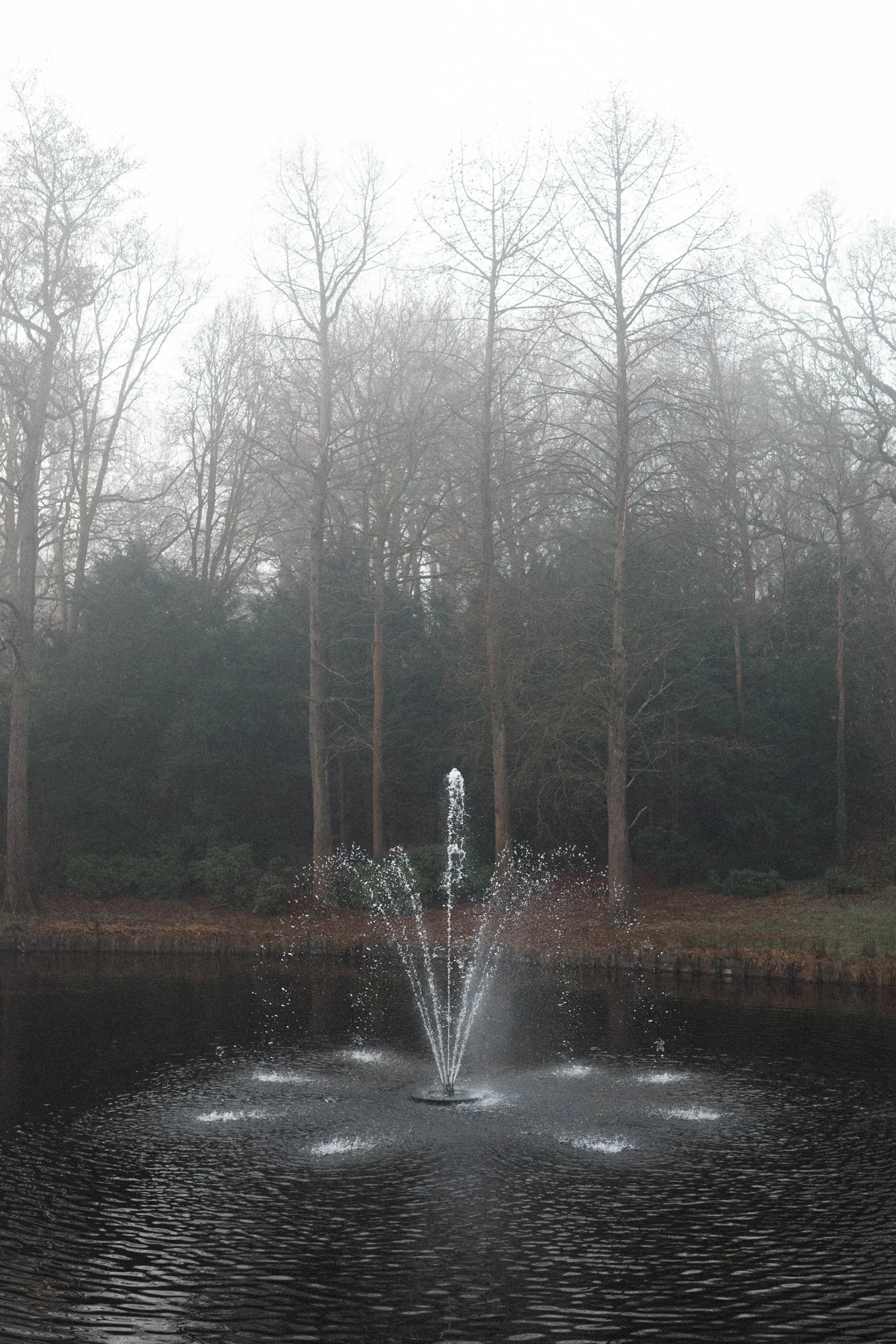 A small fountain in a pond with water spraying upwards, surrounded by leafless trees on a foggy day.