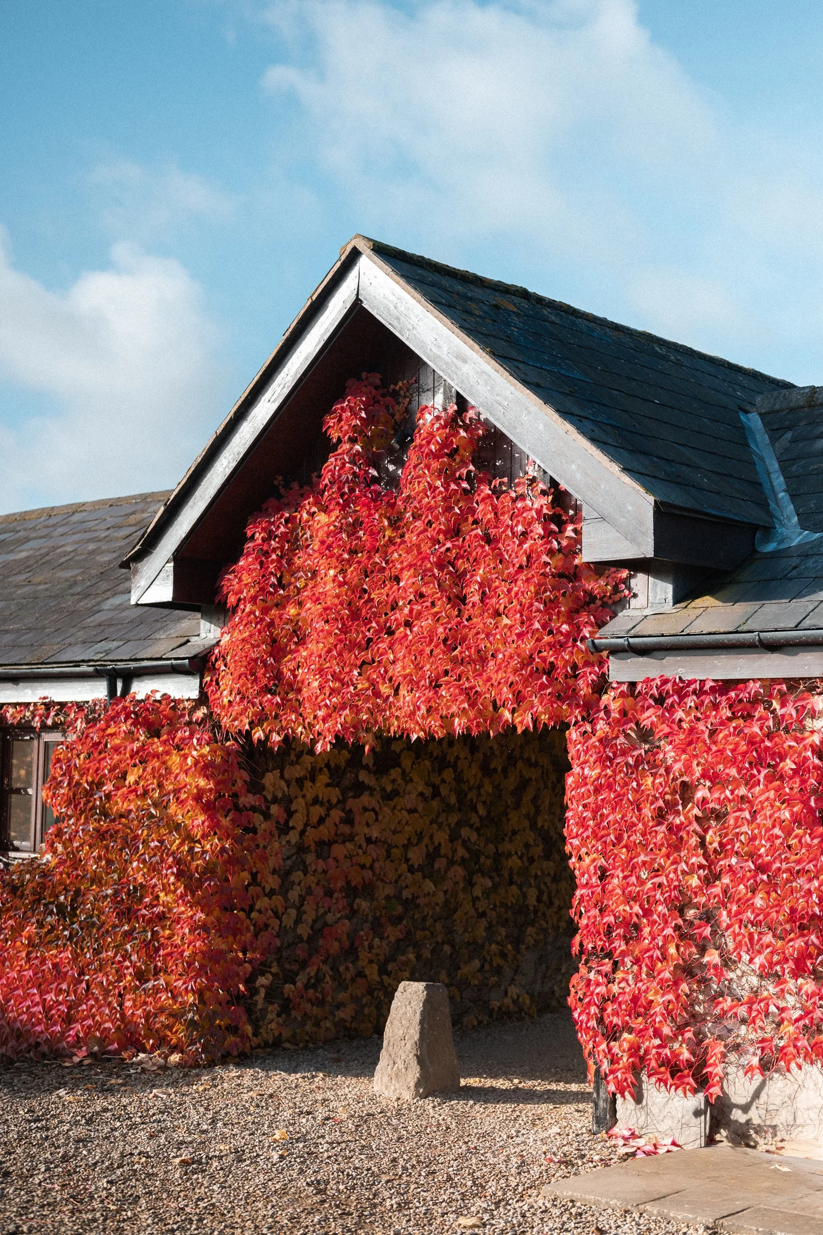 A house with a gabled roof covered in red and orange autumn leaves, with a small stone at the entrance, under a blue sky with a few clouds.