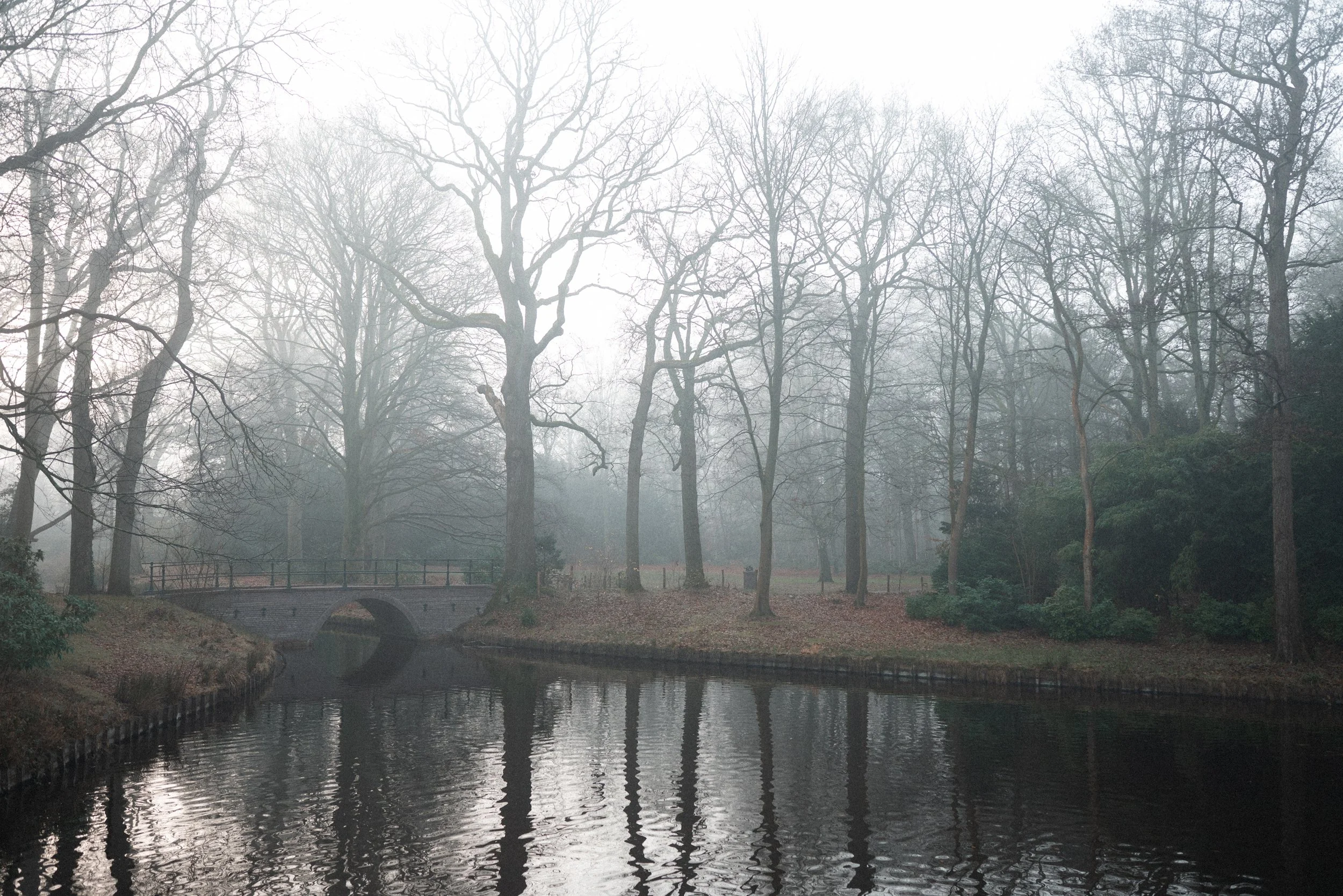 A foggy park with leafless trees, a small bridge crossing a narrow canal, and a misty atmosphere.