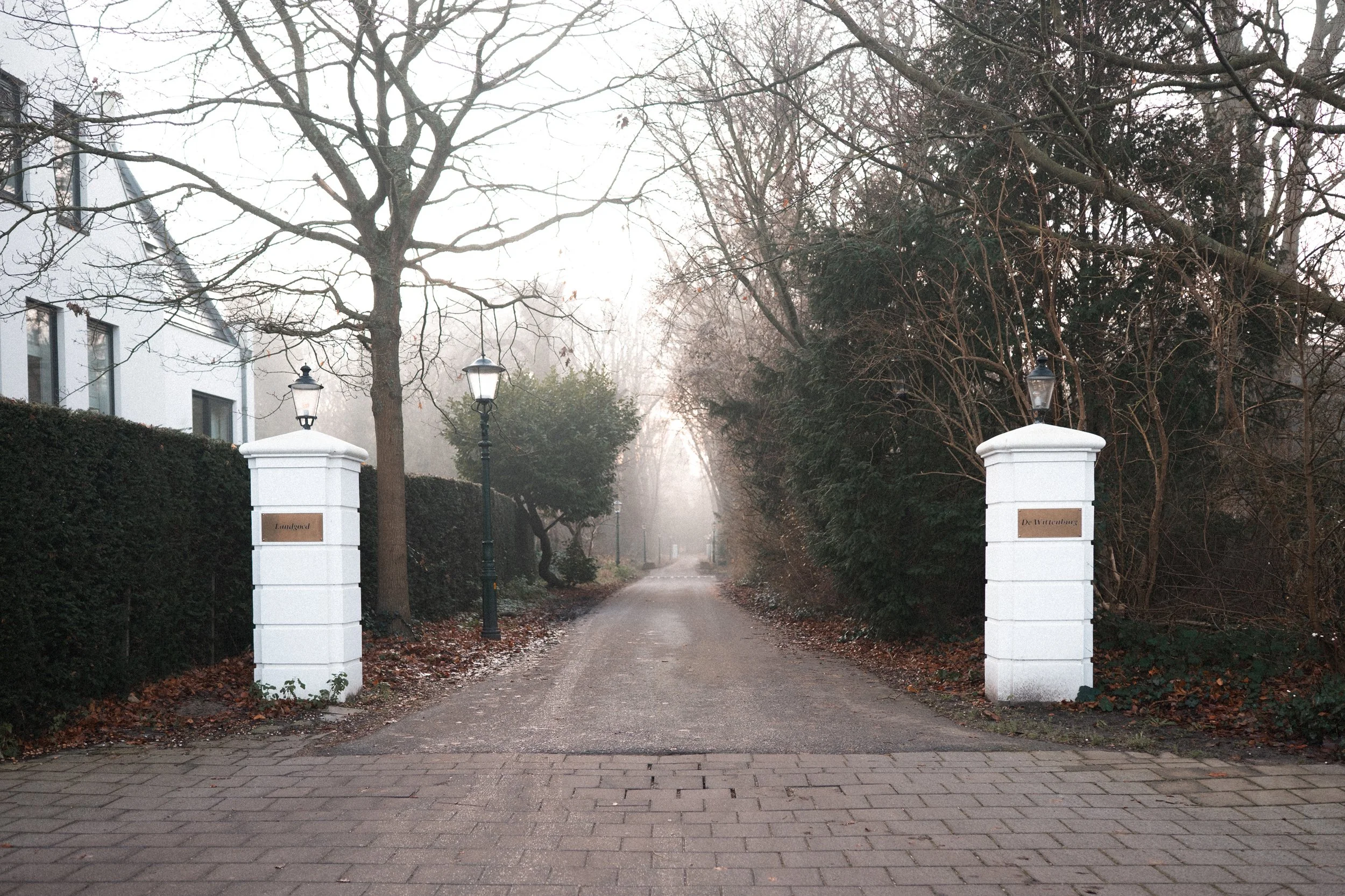 A quiet driveway lined with leafless trees and shrubs on both sides, with white pillars topped with lanterns marking the entrance to a residential area on a foggy day.
