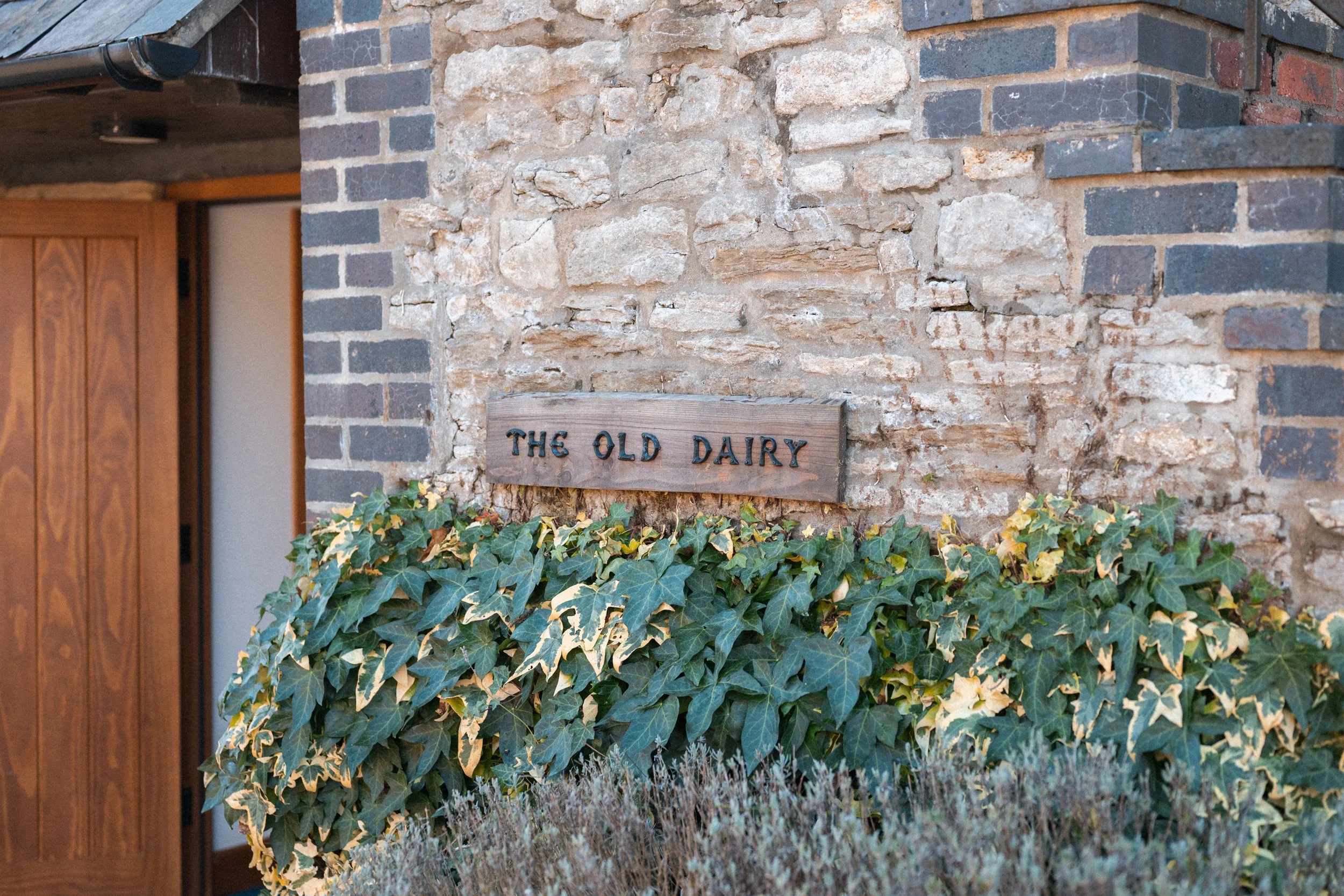 A brick building with a wooden door and a sign that reads 'The Old Dairy' mounted on a stone wall. There are green and yellow variegated ivy plants in front of the wall.
