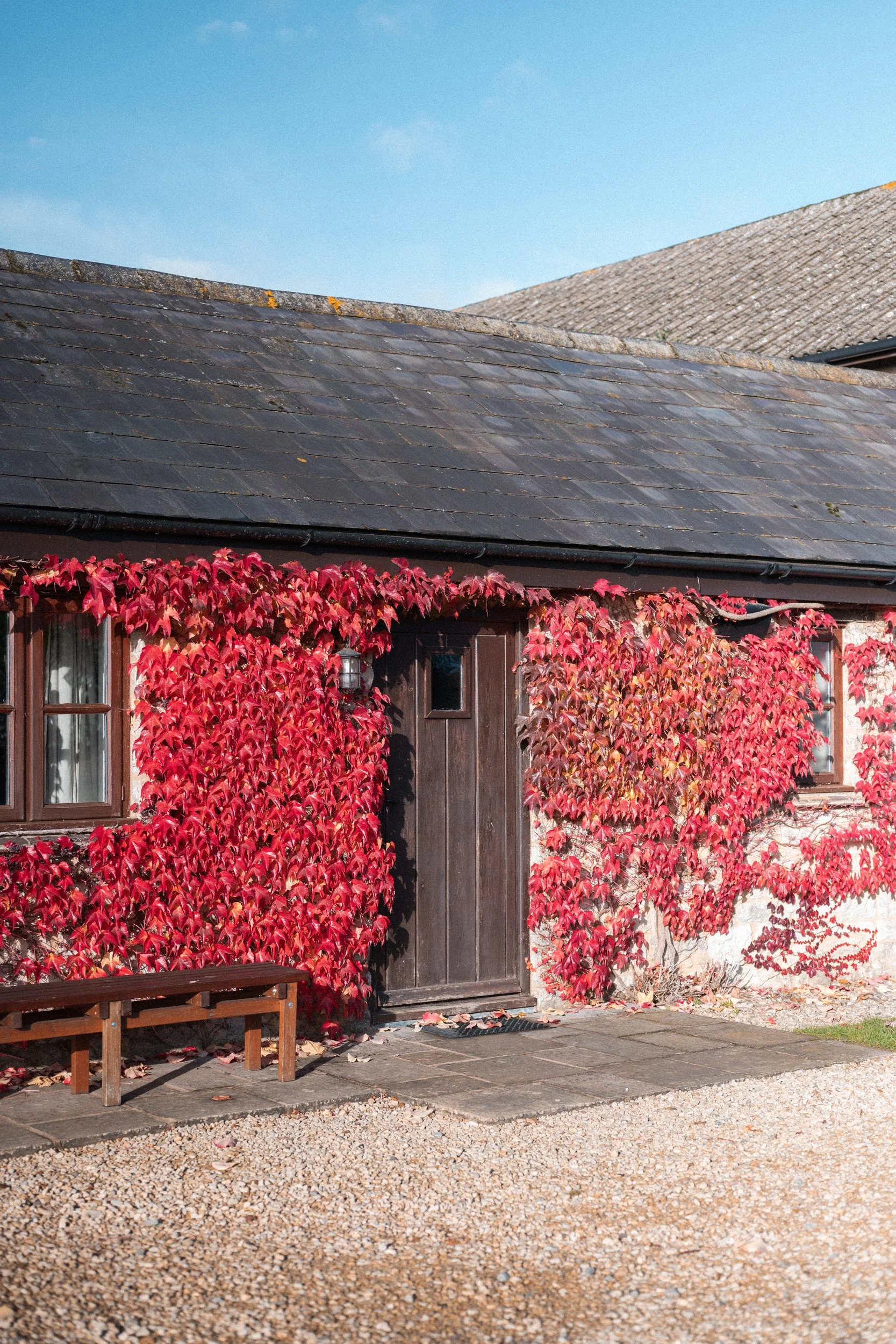A rustic house with red ivy on the walls, two windows, a dark wooden door, and a small bench outside on a gravel surface under a blue sky.