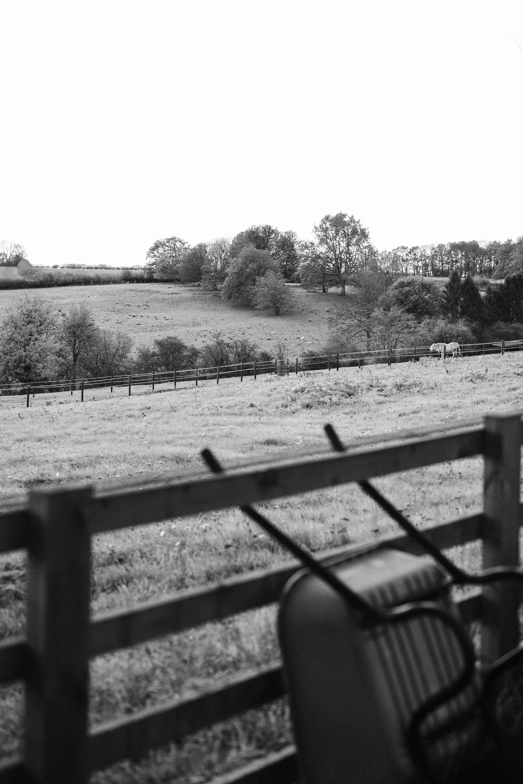 Black and white photo of a rural landscape with rolling hills, trees, a fenced field, and a horse grazing.