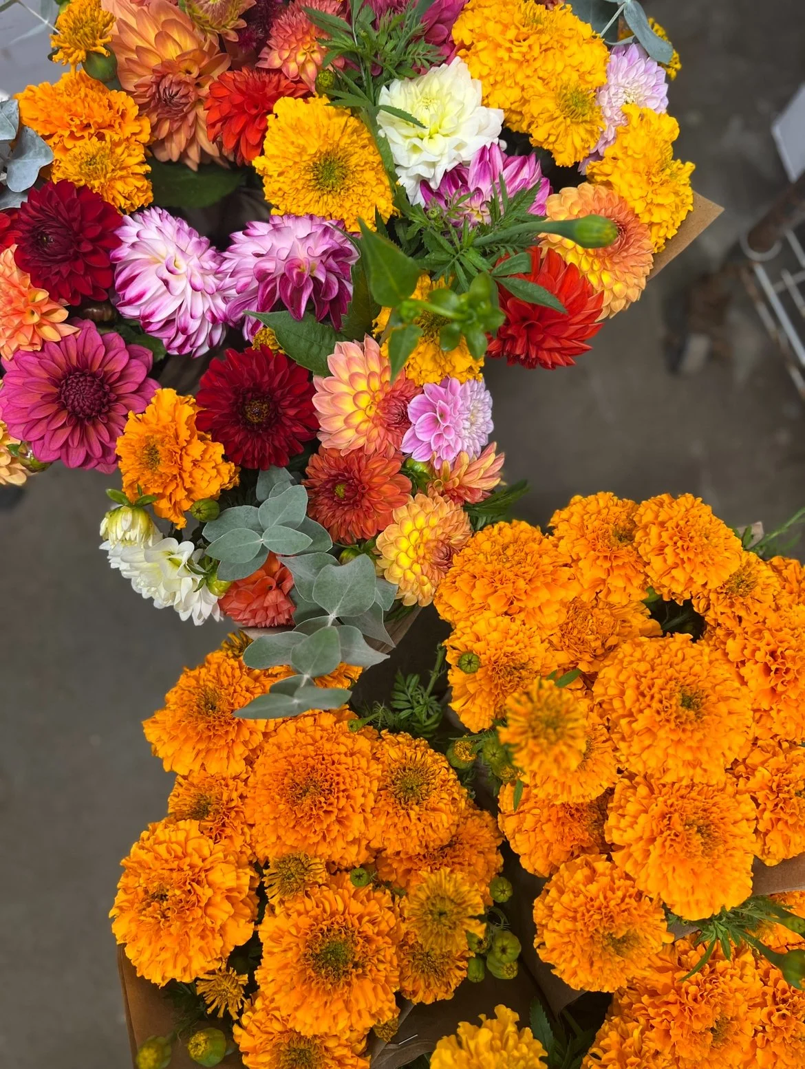 Onesimo's Flowers IMG_7495.jpg