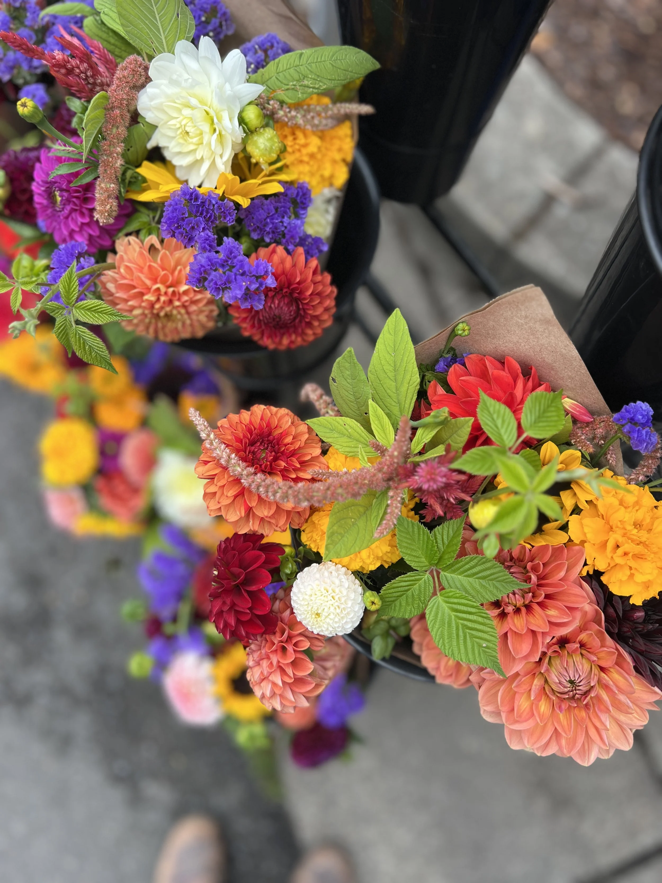 Onesimo's Flowers IMG_6265.jpg