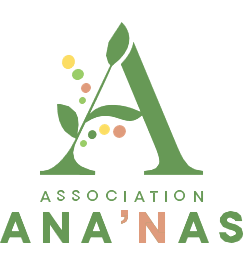 Logo de l’Association Ananas avec un grand « A » vert stylisé, des feuilles, des points colorés et le mot « ANANAS » en lettres vertes et orange.