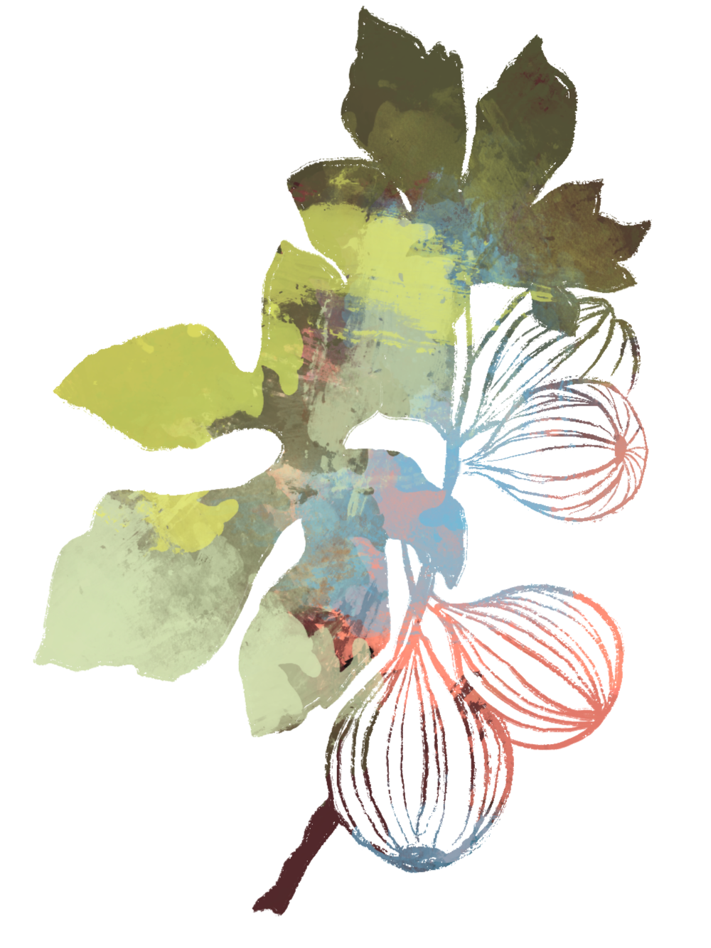 Fleur de lys illustrée avec de la peinture colorée et abstraite.