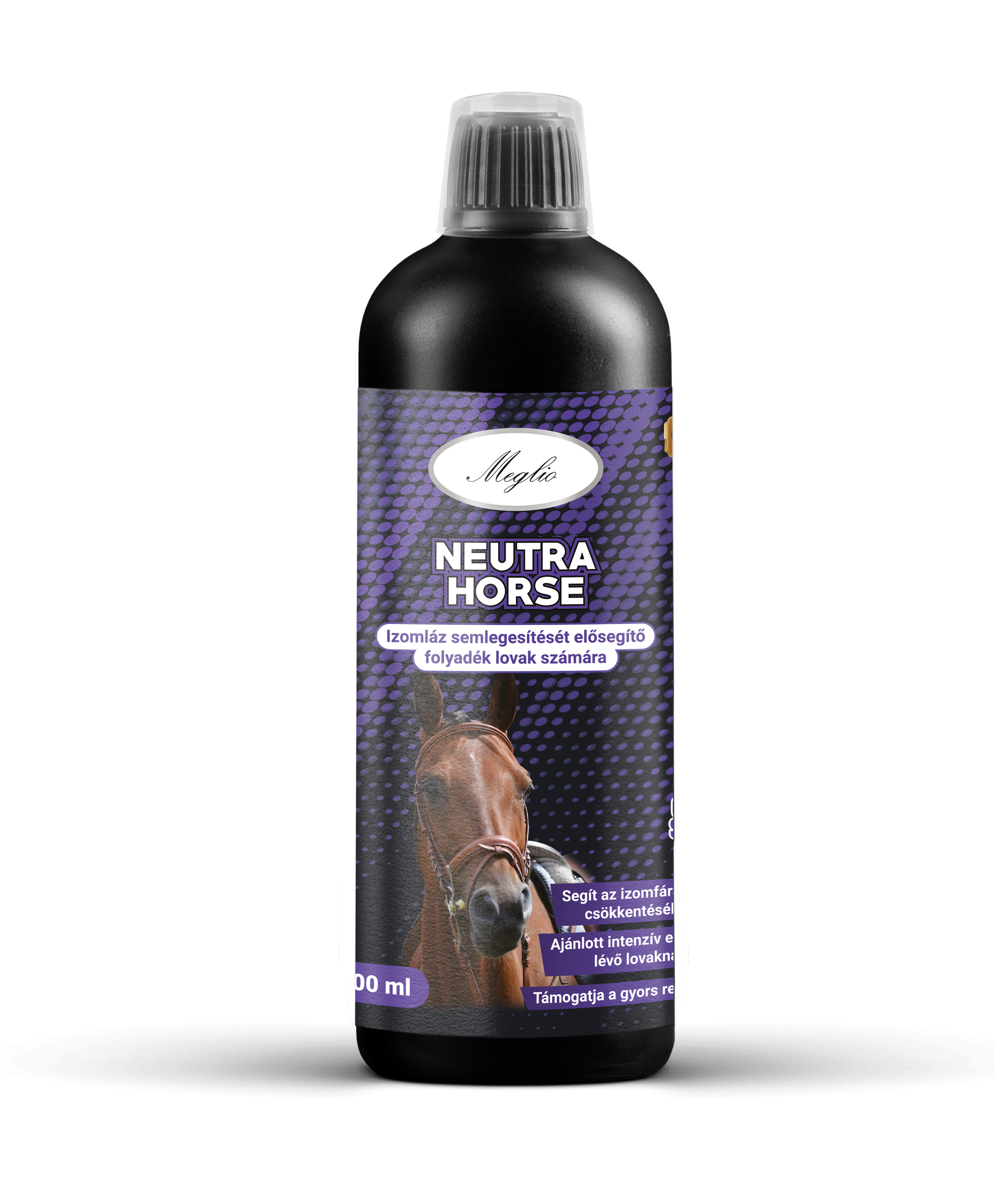 neutra_horse_500.png