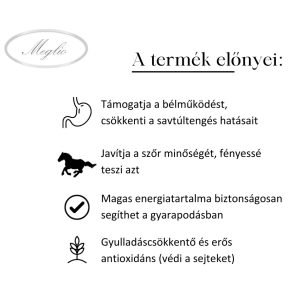 S0201000.jpg