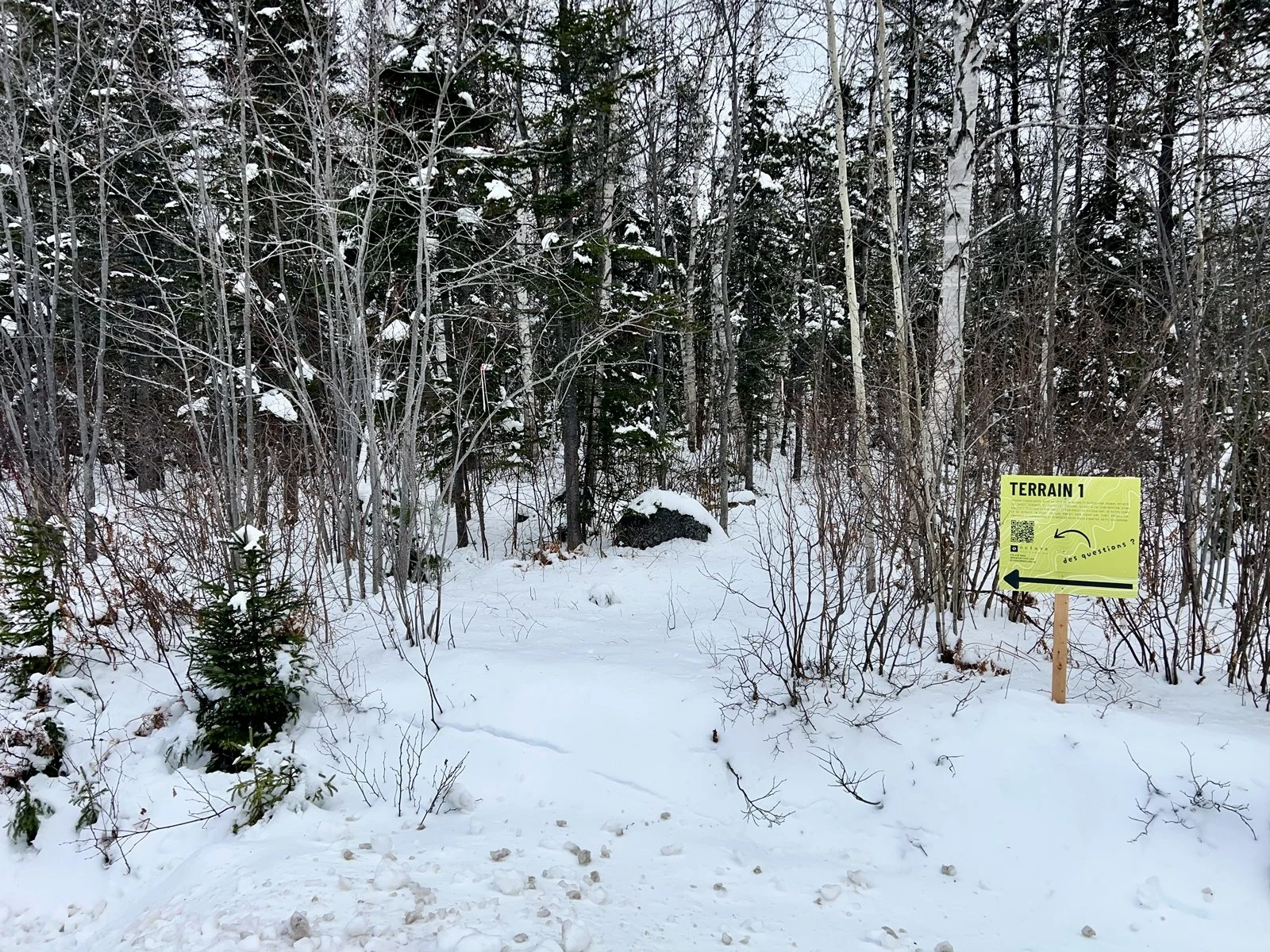 Sentier enneigé dans une forêt. Terrains à vendre à Petit-Saguenay.