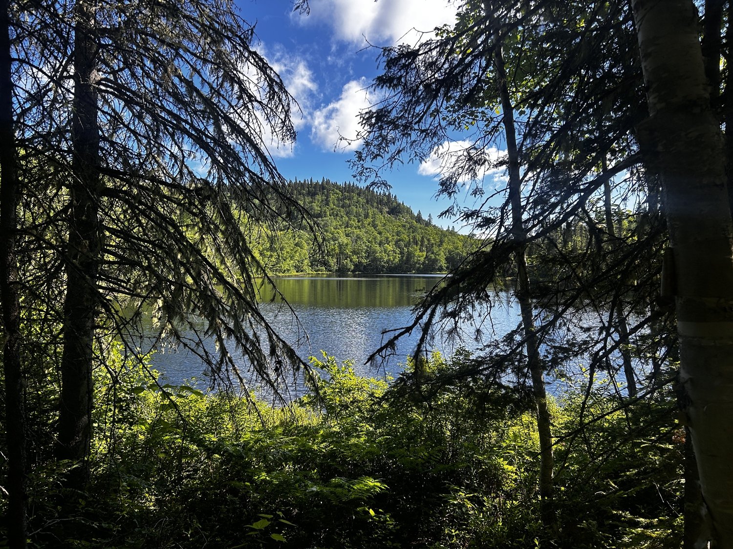 Vue d'un lac entouré d'une forêt dense avec des arbres dans le premier plan, un ciel partiellement nuageux et une colline boisée en arrière-plan.