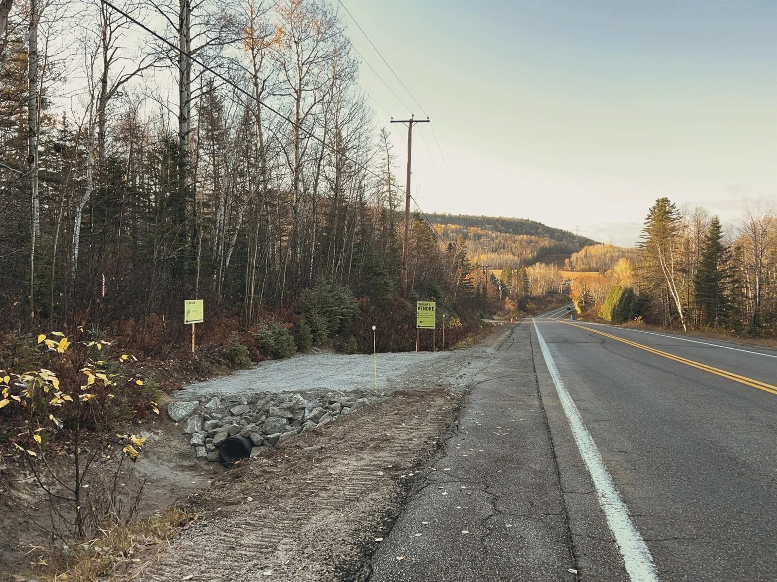 Une route de campagne bordée d'arbres, avec un panneau d'annonce de vente et une zone de travaux avec des pierres et un tuyau noir.