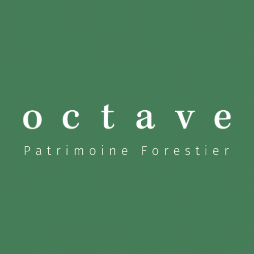 Octave — Patrimoine forestier