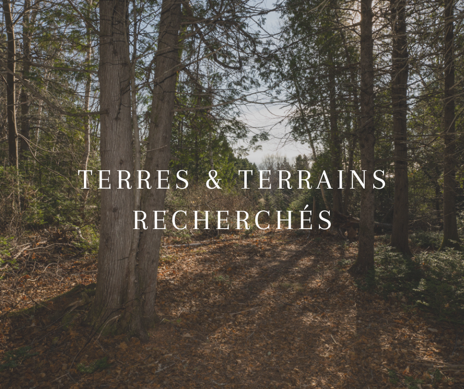 Terres et terrains recherchés – Achat et partenariat
