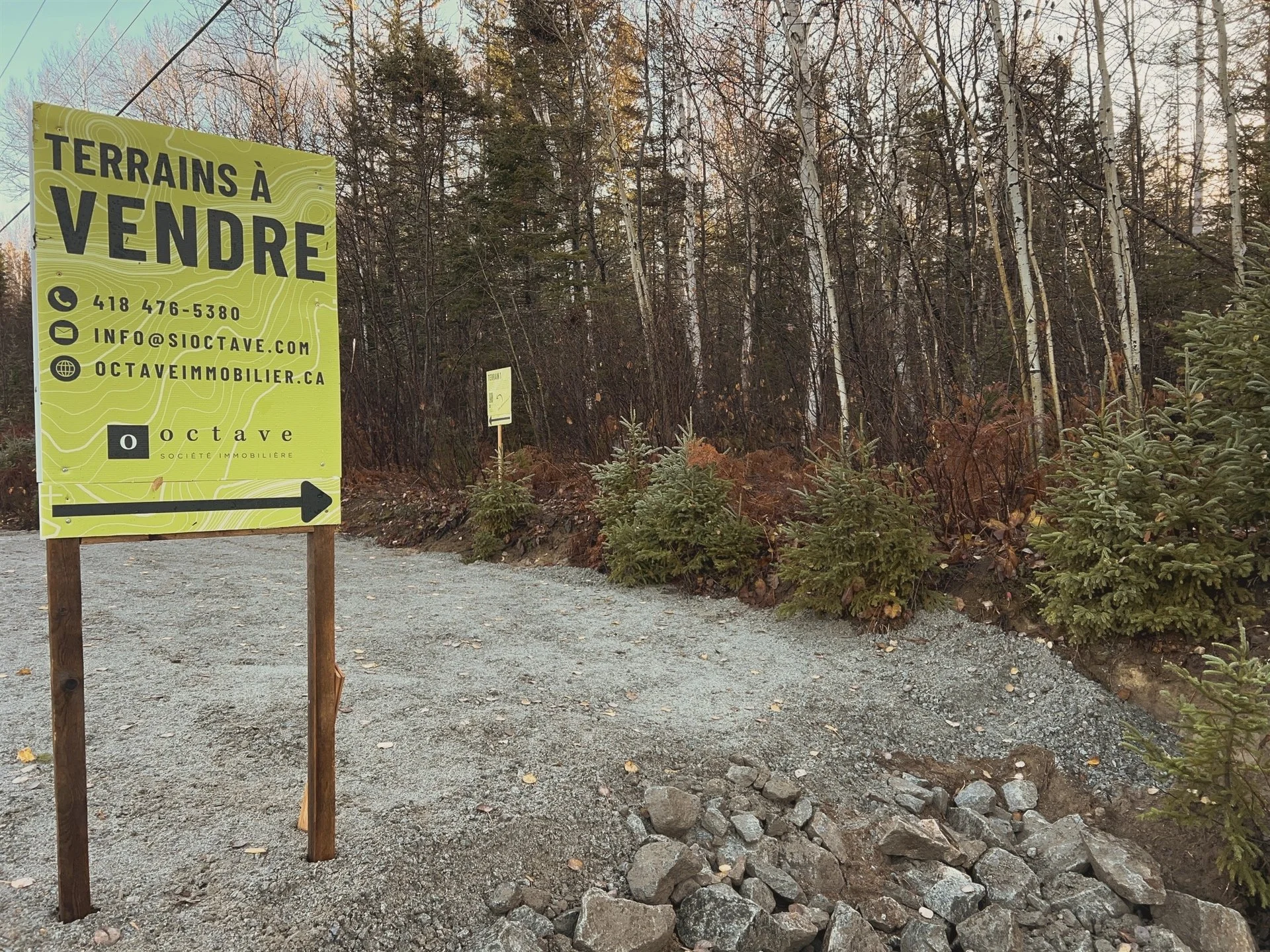 Un panneau publicitaire jaune annonçant la vente de terrains à Petit-Saguenay, situé sur un chemin de terre dans un environnement boisé avec des sapins et des arbres sans feuilles.