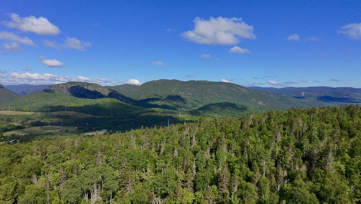 Vue aérienne de montagnes verdoyantes avec une forêt dense au premier plan, sous un ciel bleu parsemé de nuages.