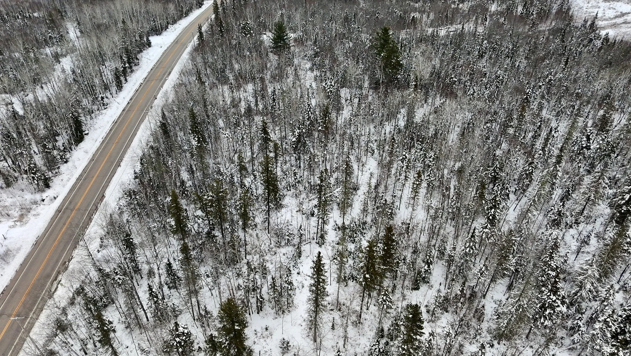 Vue aérienne d'une route serpentant à travers une forêt enneigée avec des arbres dénudés et quelques conifères, en hiver.