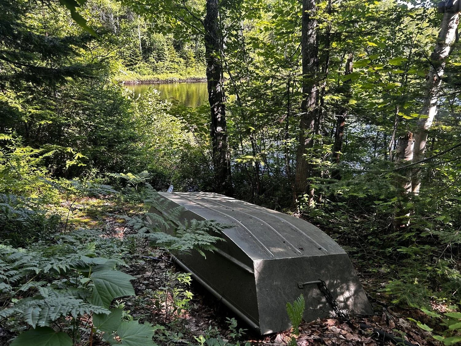 Une barque en bois abandonnée dans une forêt près d'un lac, entourée de végétation dense et d'arbres.