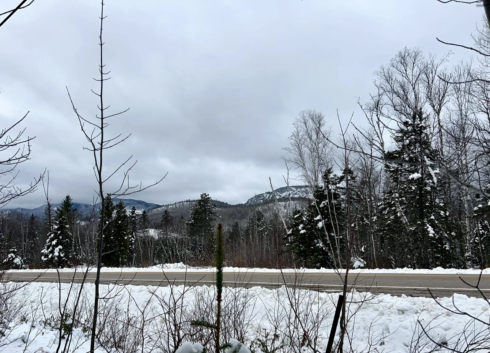 Paysage enneigé avec route, arbres suspendus de neige et montagnes en arrière-plan, ciel nuageux. Terrains à vendre au Saguenay.
