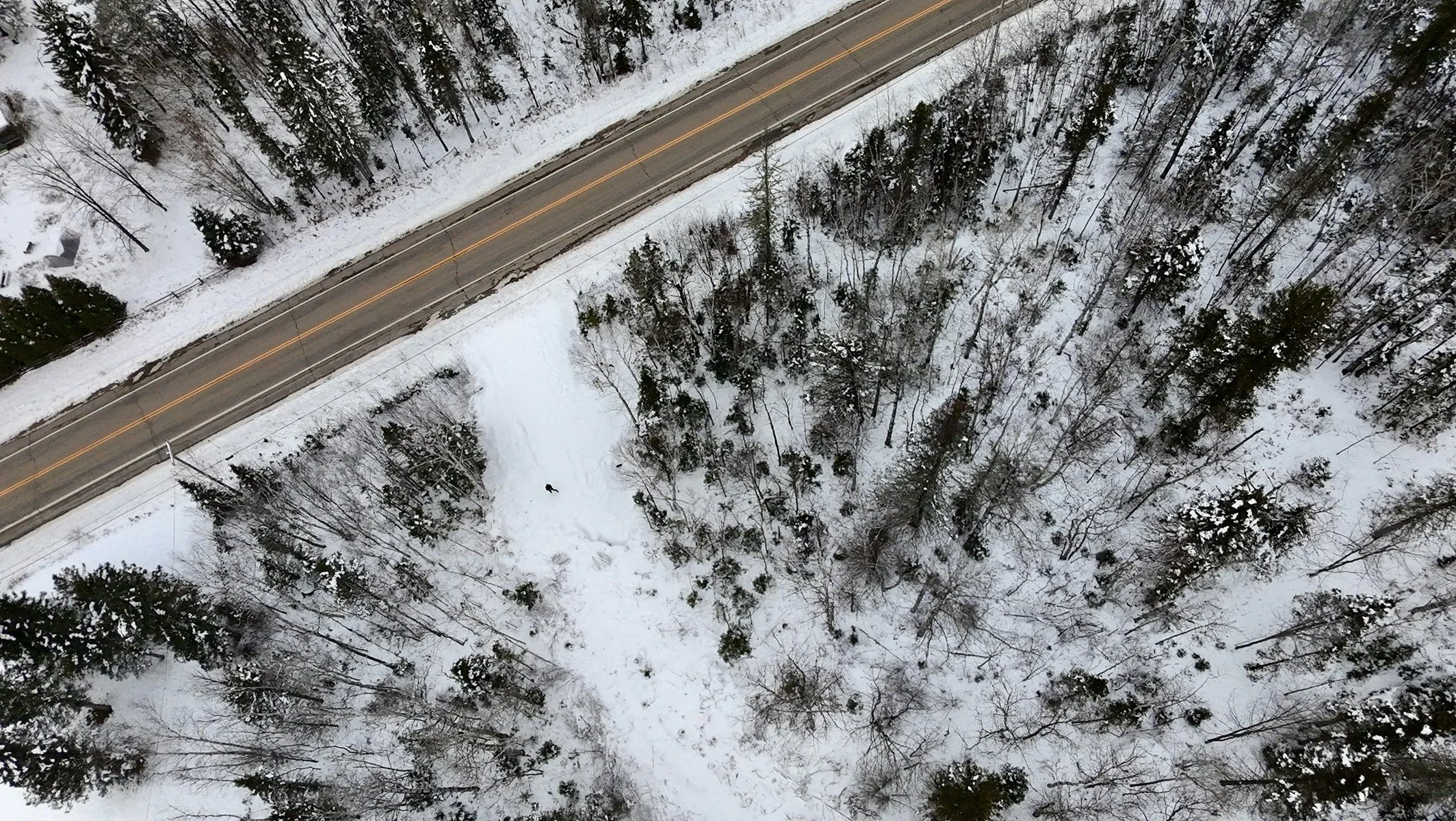 Octave Immobilier. Vue aérienne d'une route entourée d'une forêt enneigée pendant l'hiver.