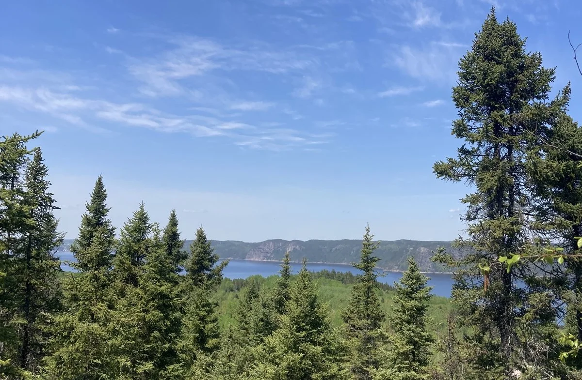 Paysage de forêt avec des arbres verts, un lac et des montagnes sous un ciel bleu avec quelques nuages.