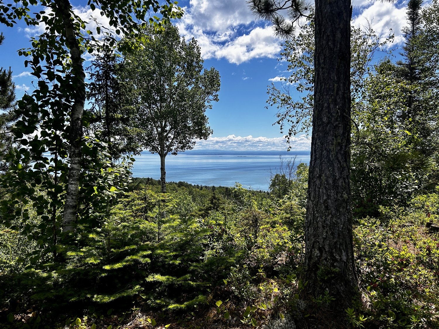 Vue d'une forêt avec vue sur un lac ou une mer en arrière-plan, ciel partiellement nuageux.