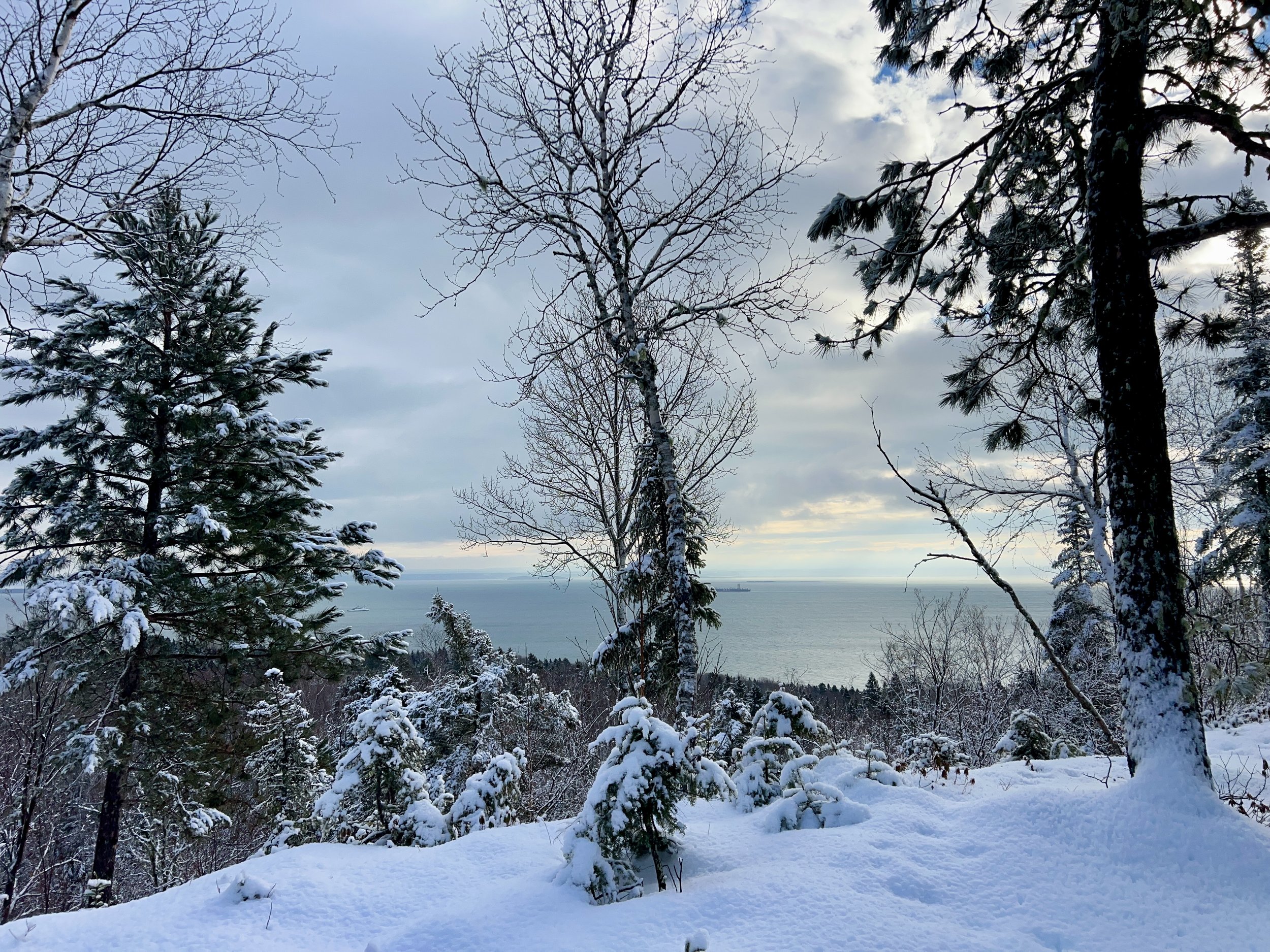 Paysage hivernal avec des arbres enneigés et vue sur l'océan en arrière-plan, ciel nuageux
