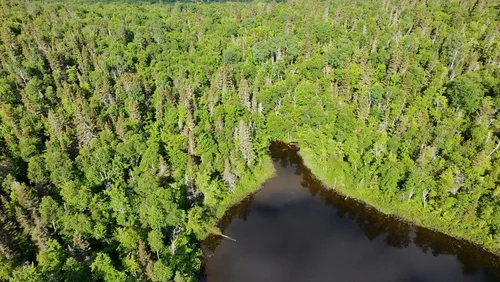 Le Domaine sur le lac, terrain à vendre à Petit-Saguenay