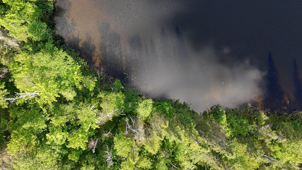 Lac du domaine, Petit-Saguenay