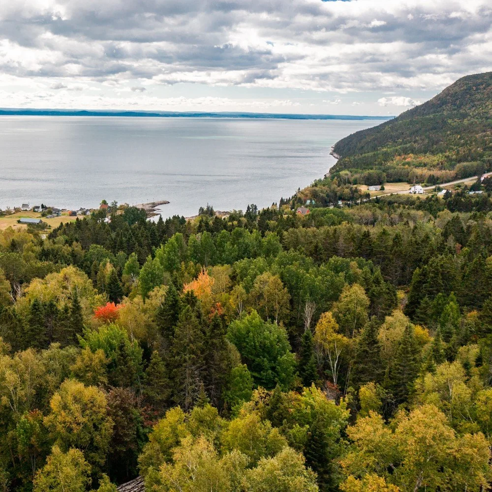 Paysage de Charlevoix : forêt dense, côte et fleuve