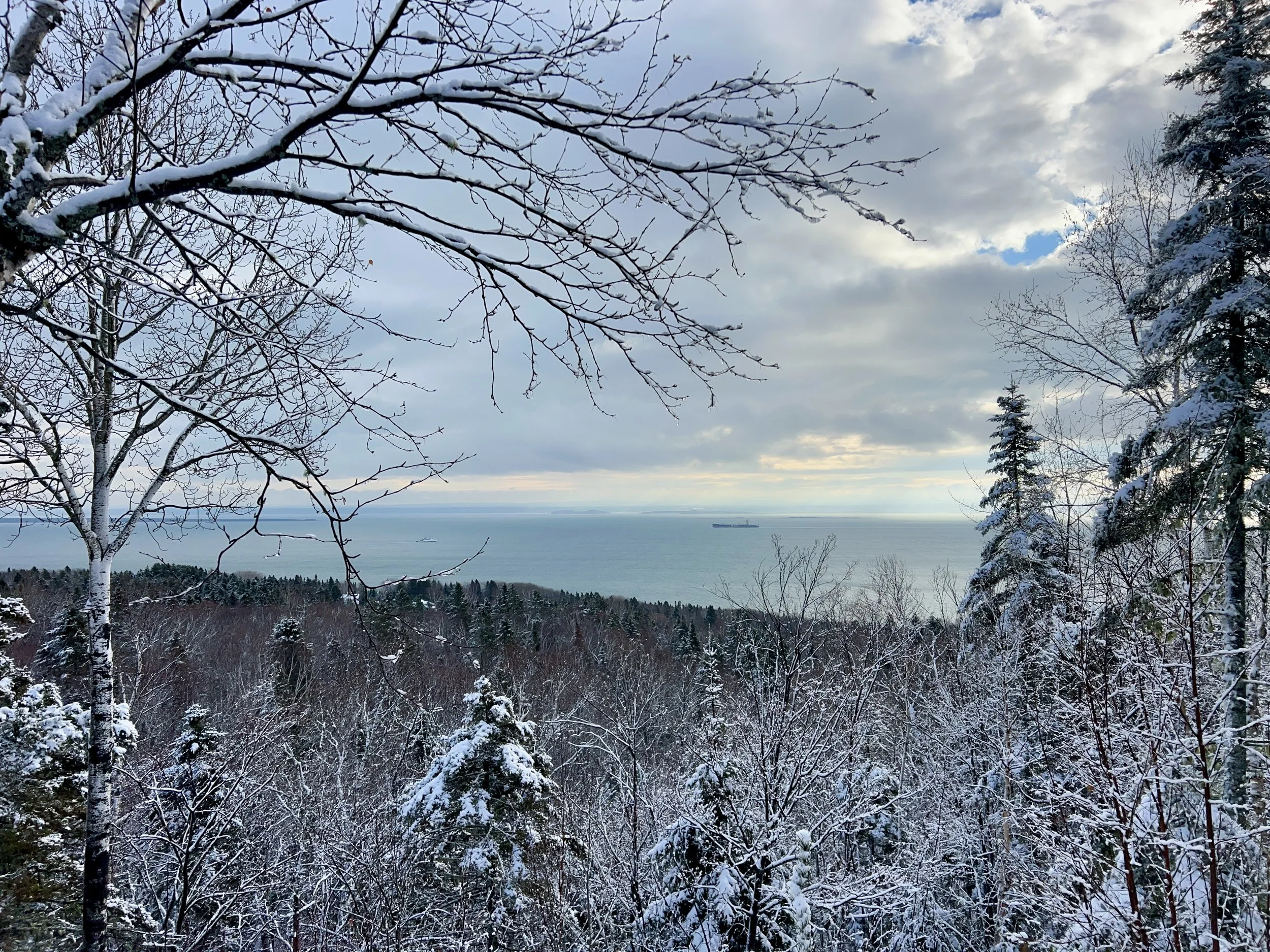 Paysage hivernal avec des arbres couverts de neige, vue sur la mer avec un bateau en arrière-plan, ciel nuageux avec quelques éclaircies.