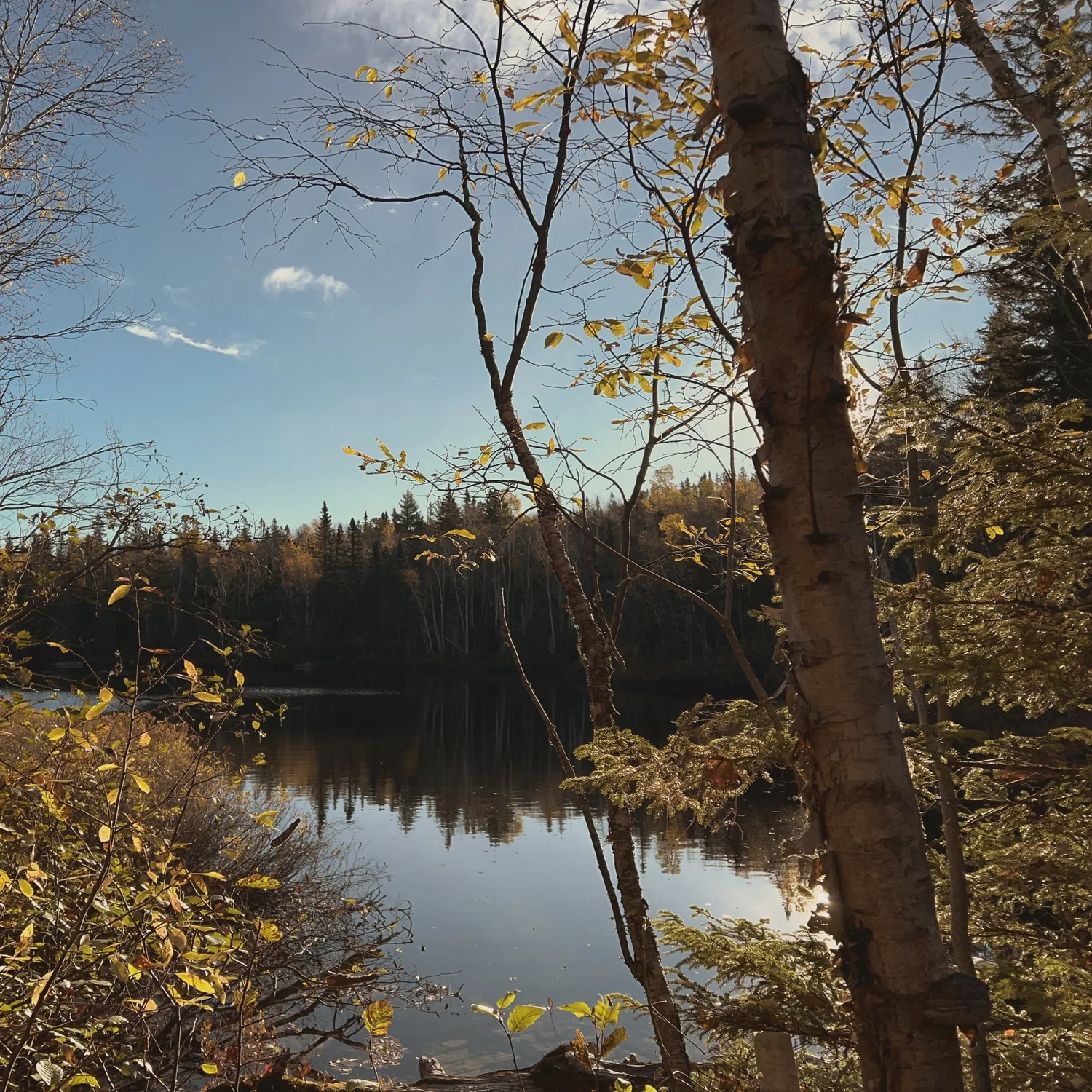 A forest lake in the Bas-Saguenay, Quebec