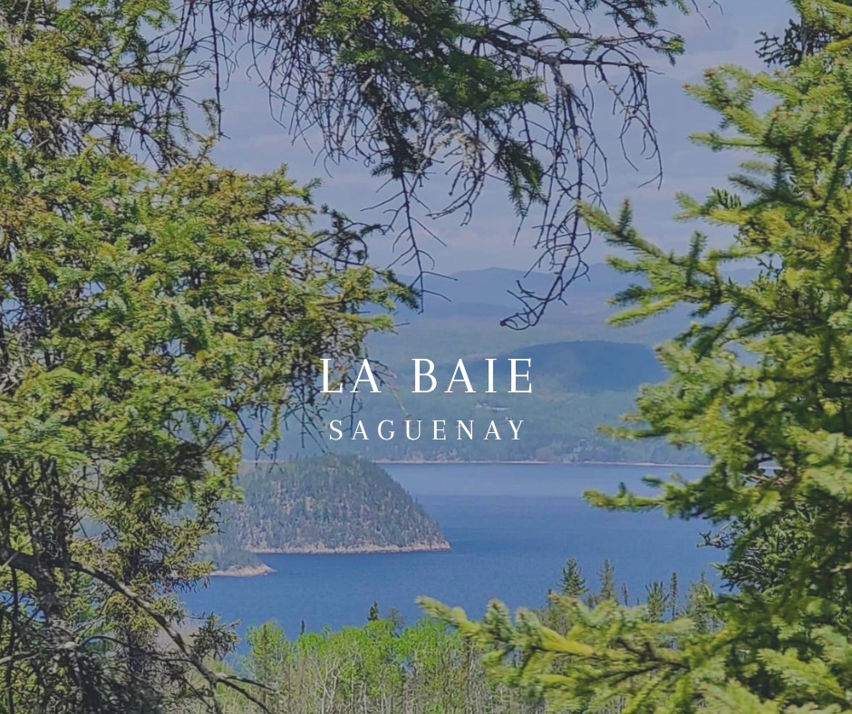 Photo d'une vue sur le lac Saguenay entouré de montagnes, prise à travers des branches d'arbres. Texte superposé indiquant 'LA BAIE SAGUENAY'.