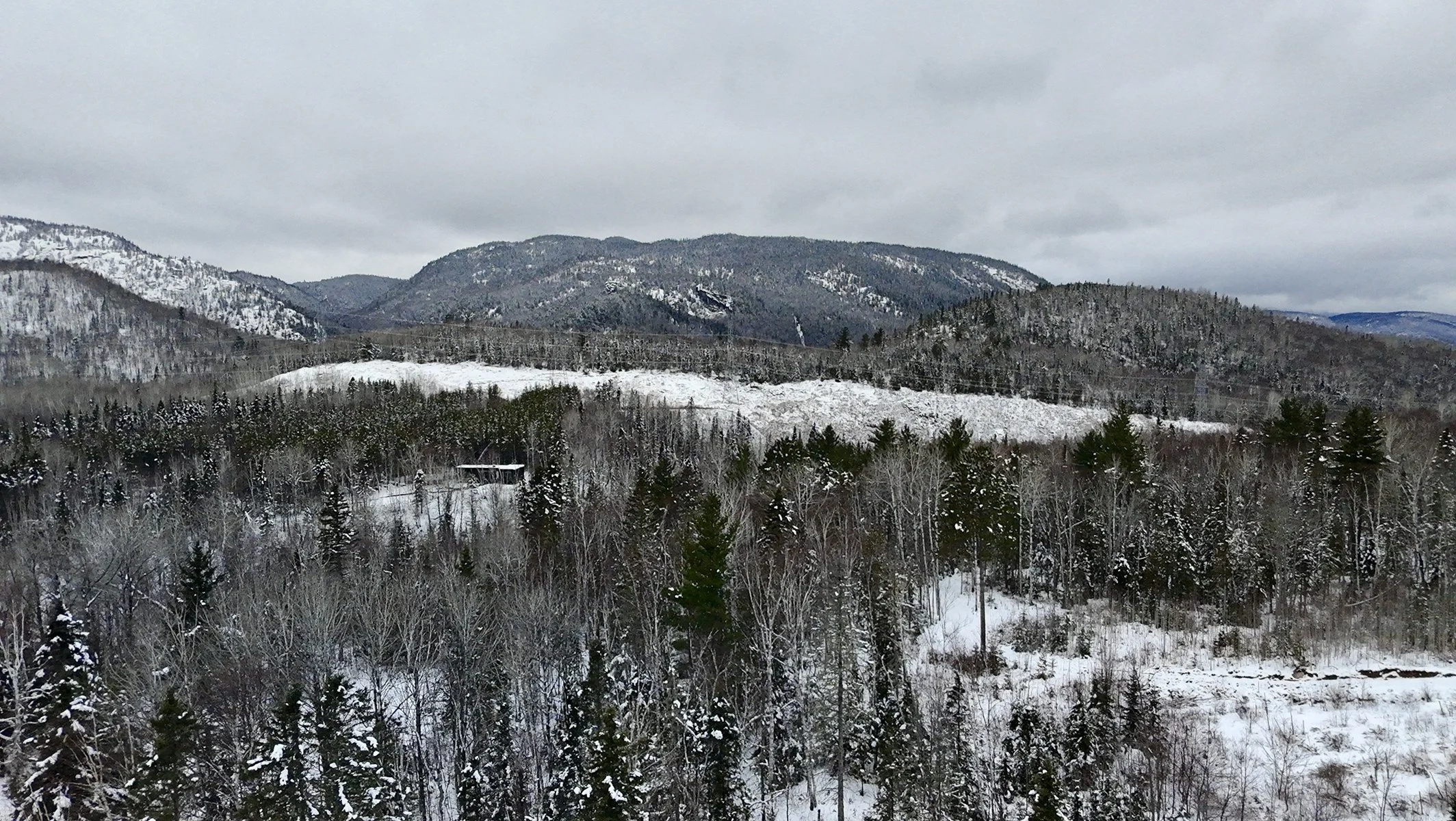 Paysage enneigé avec des montagnes, une forêt de sapins et des collines sous un ciel nuageux.