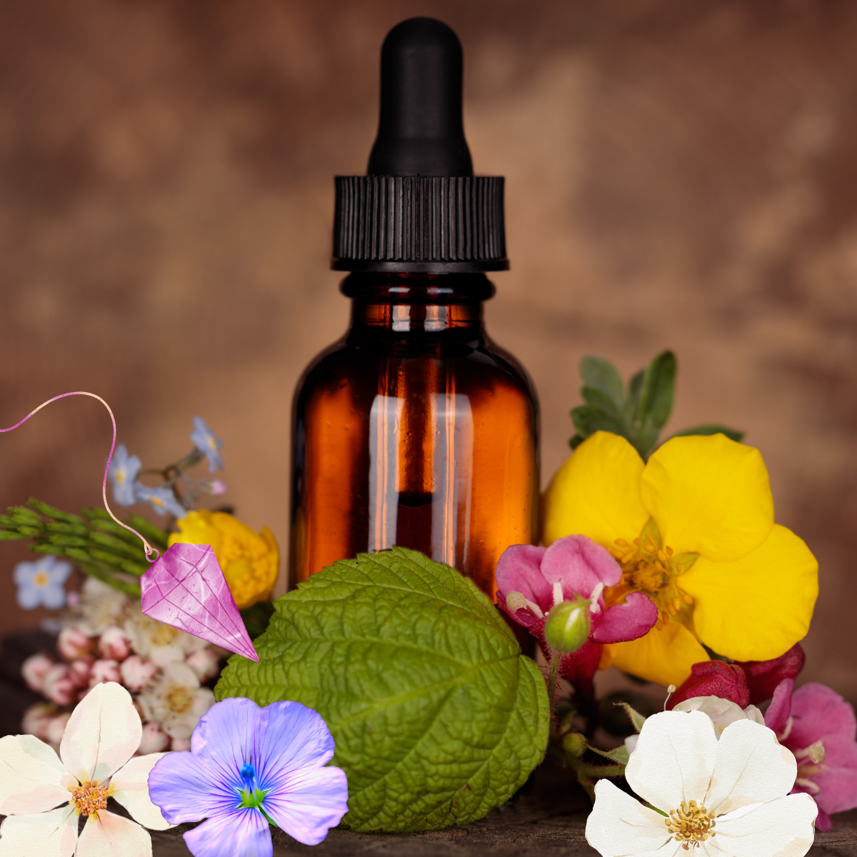 Bach Flower Essence Afternoon