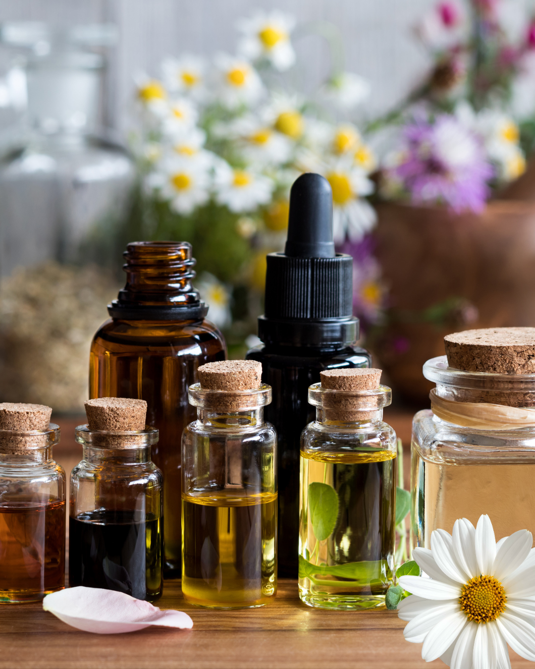 Flower Essence Workshop