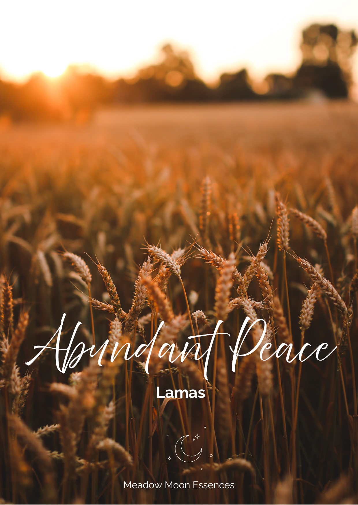 Abundant Peace  card.png
