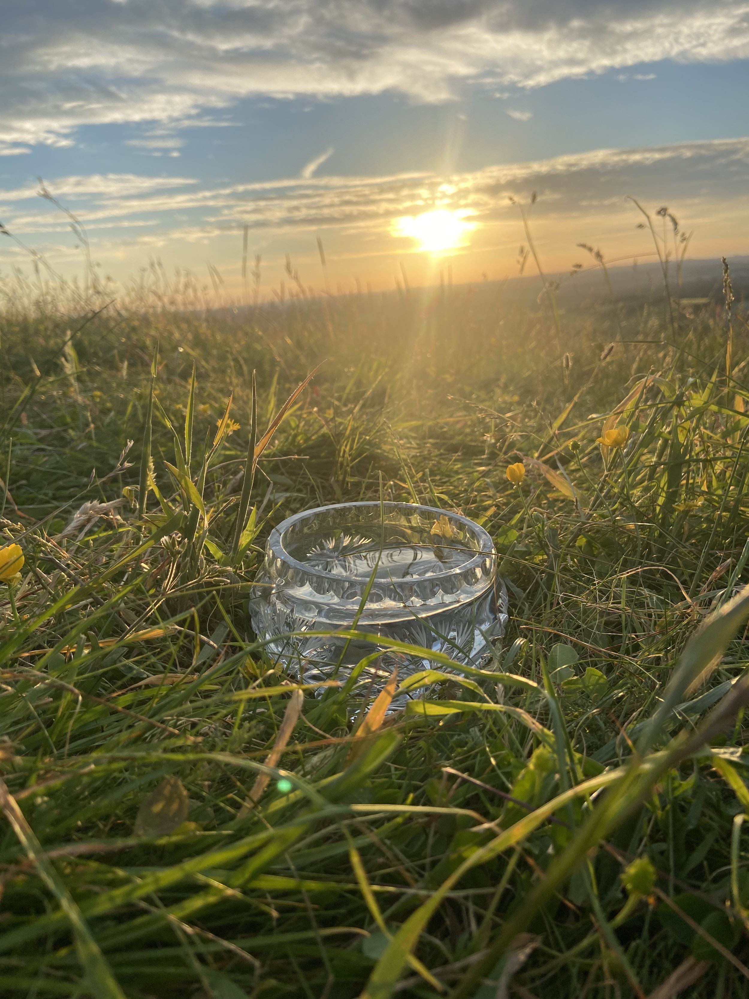Solar Gold | Solstice.jpeg