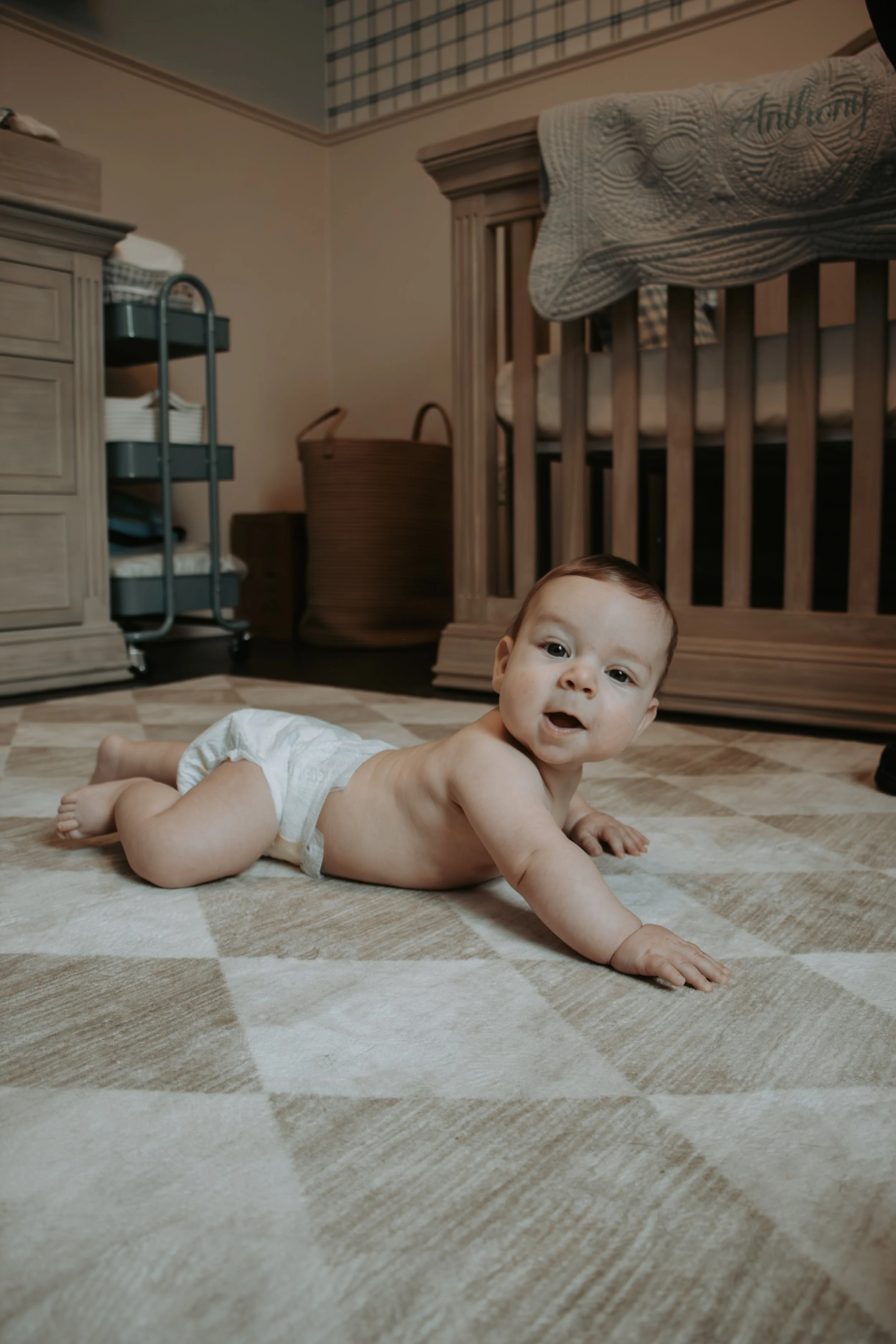 Anthony's 6 Month Old Portraits