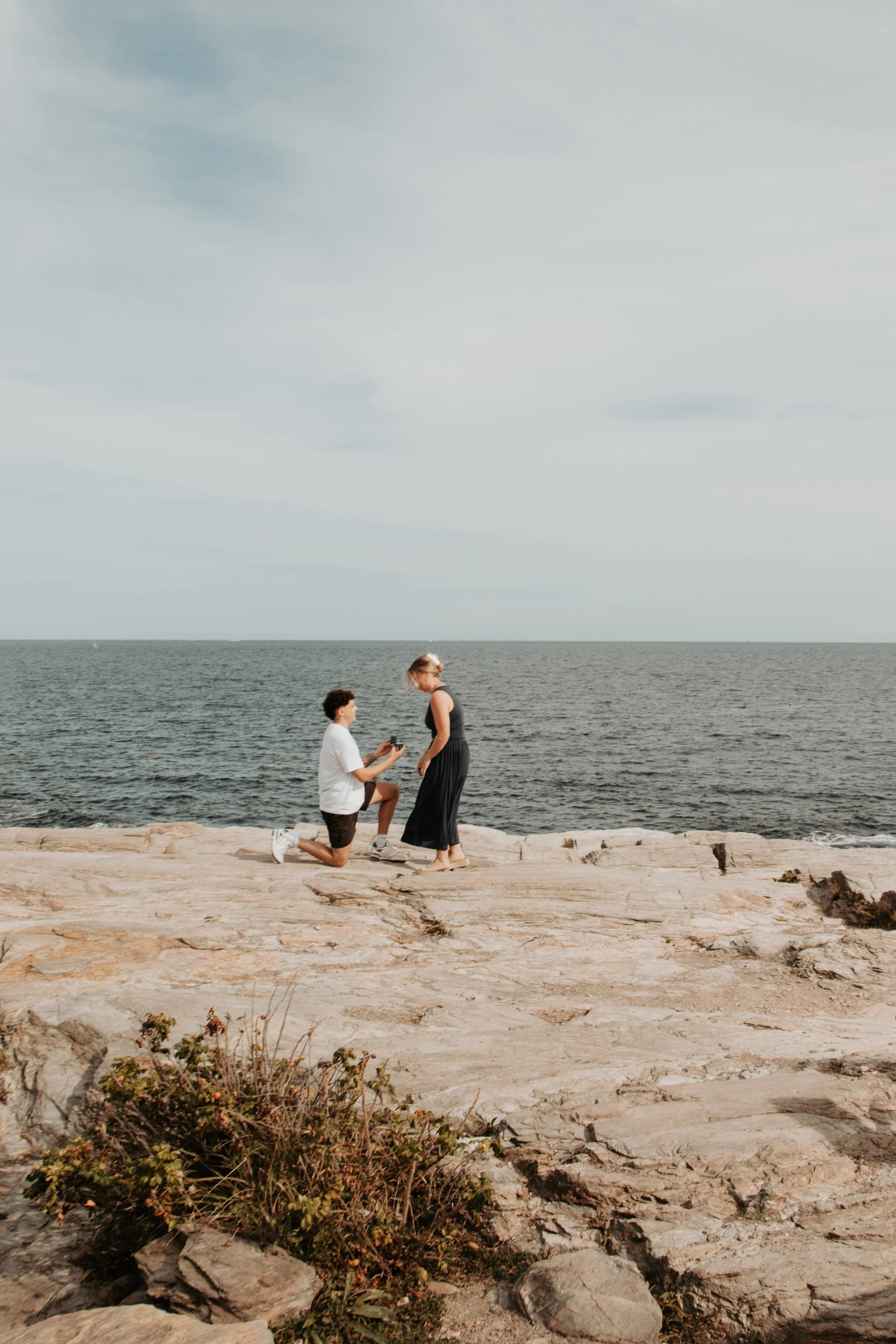 Bella's Proposal